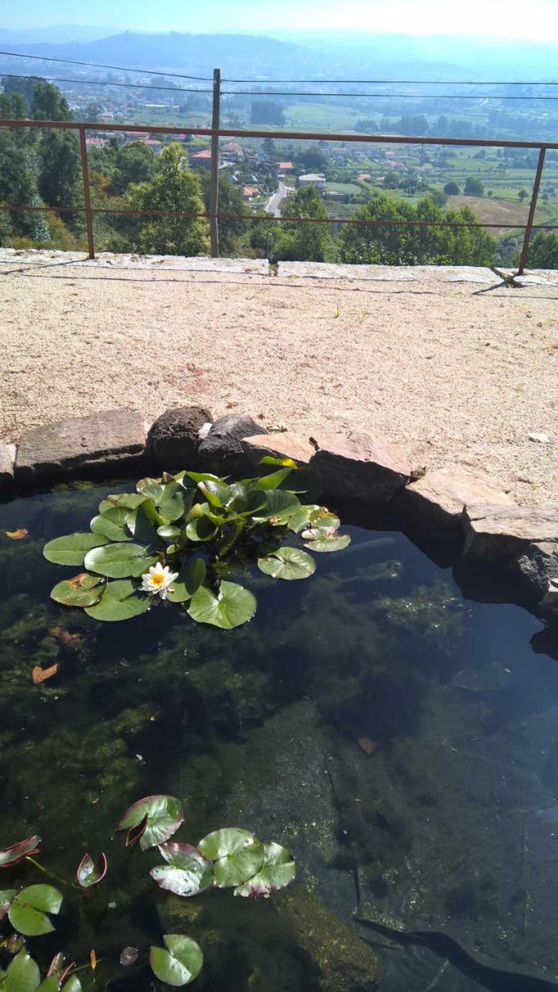 Gift card for Alto Belo