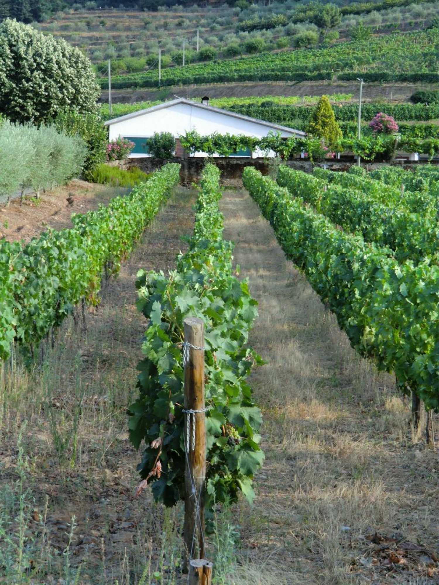 Gift card for Quinta Das Aveleiras