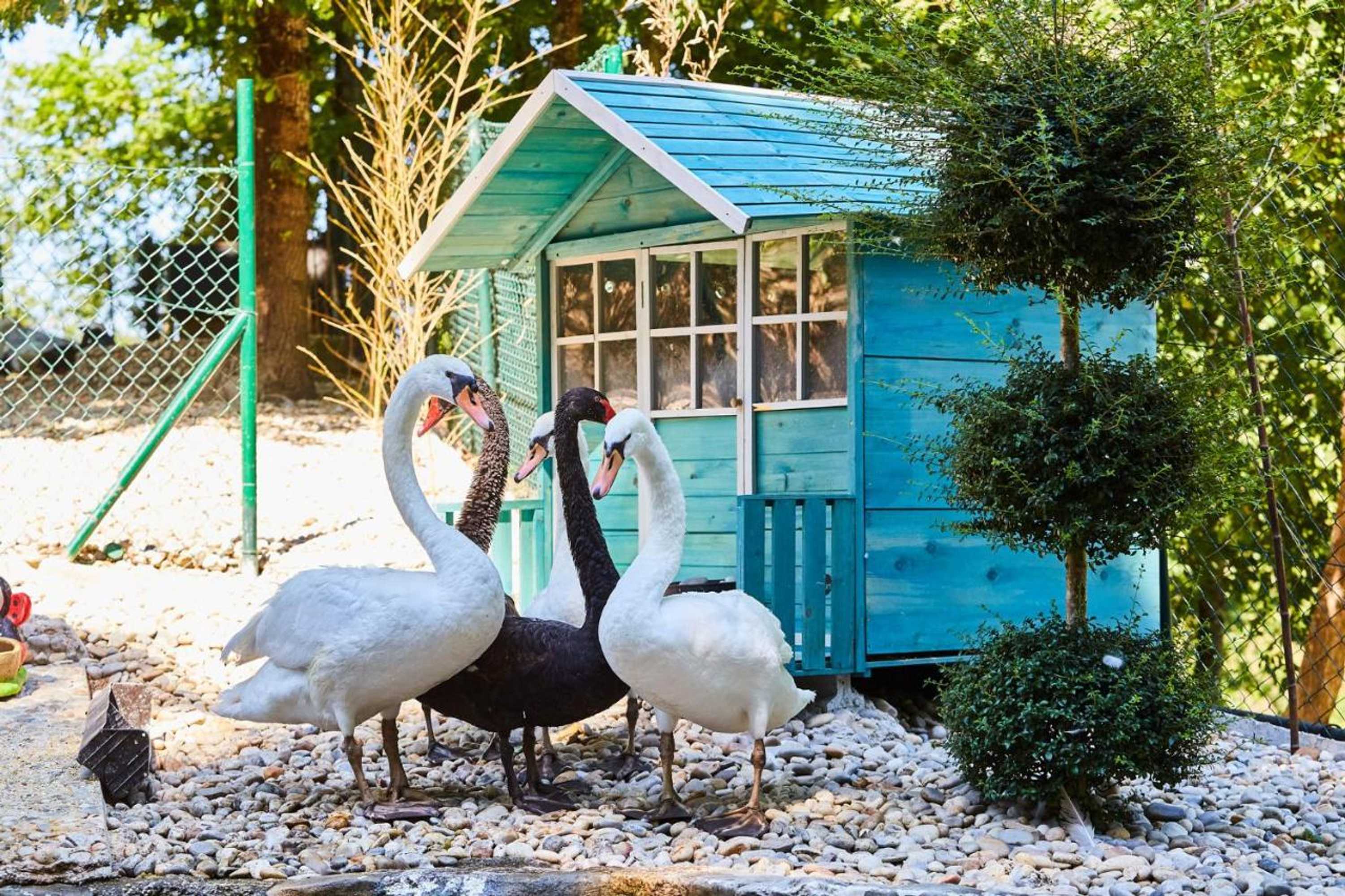 Gift card for Quinta do Lordelo Turismo Rural Gift card for Quinta do Lordelo Turismo Rural