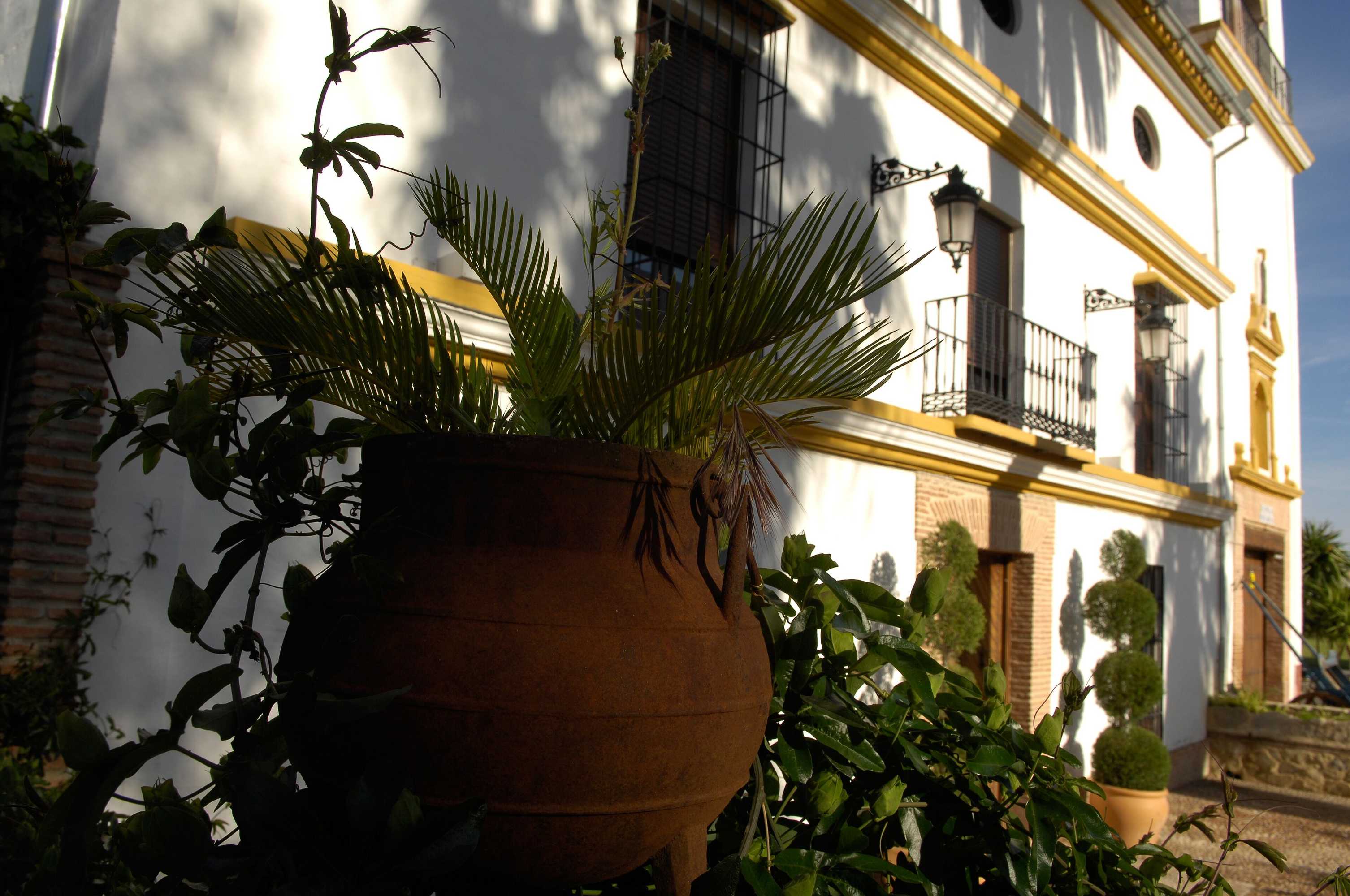 Gift card for Hotel Domus Selecta Finca Eslava Gift card for Hotel Domus Selecta Finca Eslava