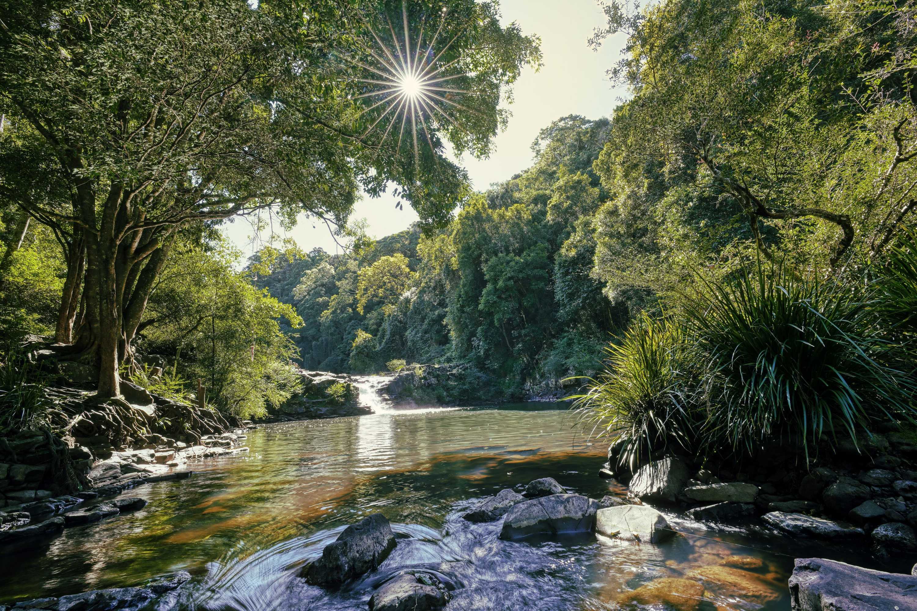 Gift card for Narrows Escape Rainforest Retreat