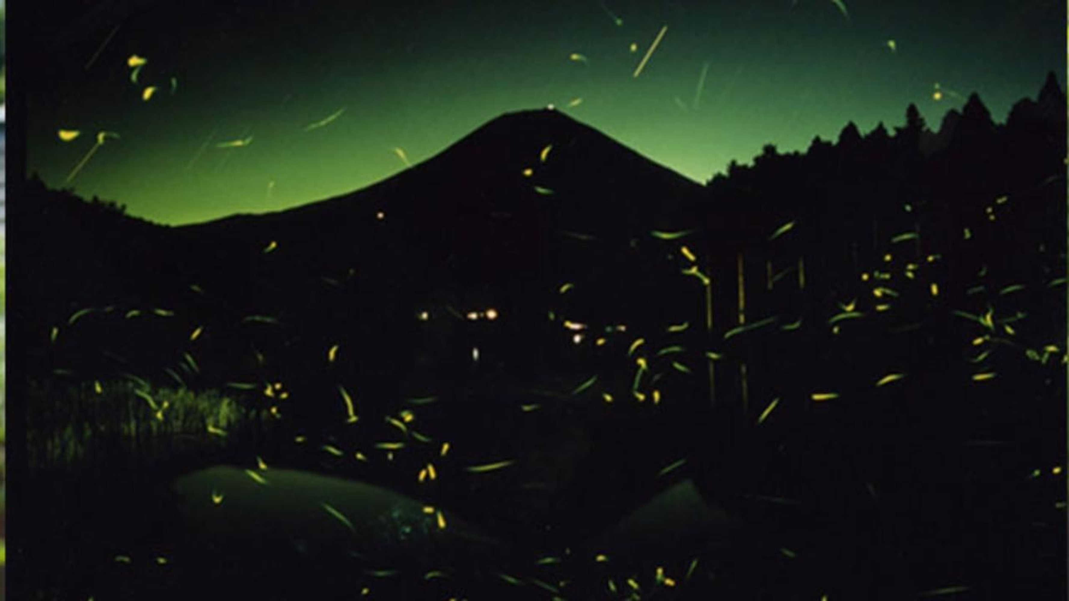 Gift card for Kyukamura Fuji