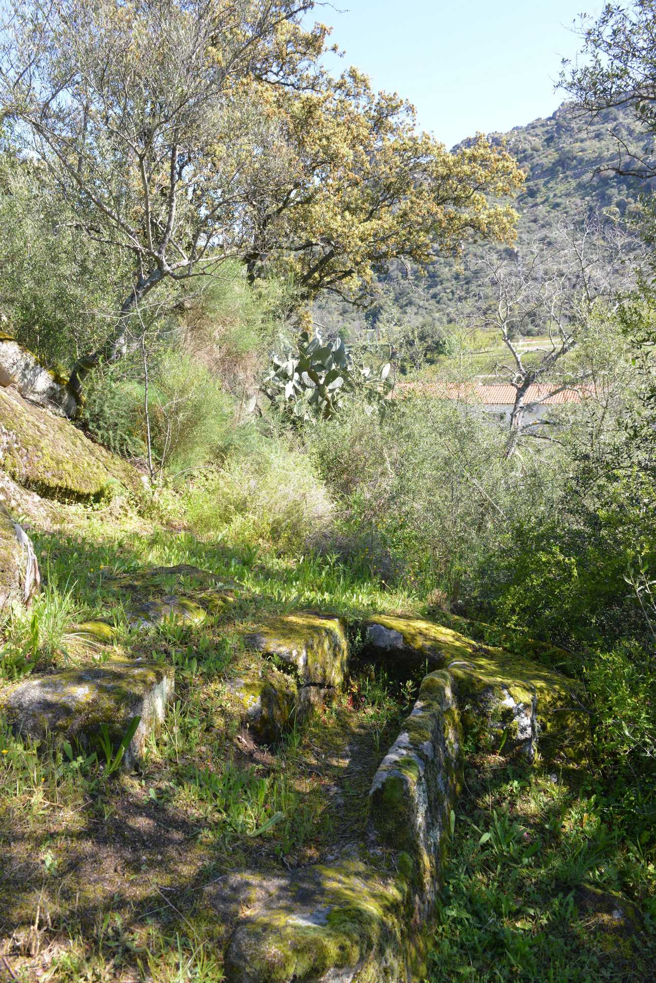 Gift card for Casas Rurales Aldeaduero Gift card for Casas Rurales Aldeaduero