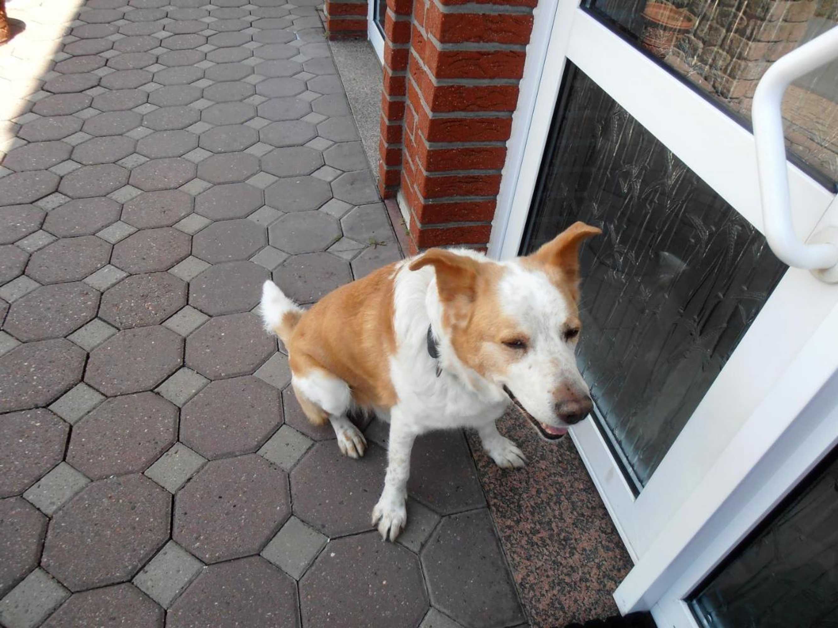 Gift card for Gasthaus Schadde