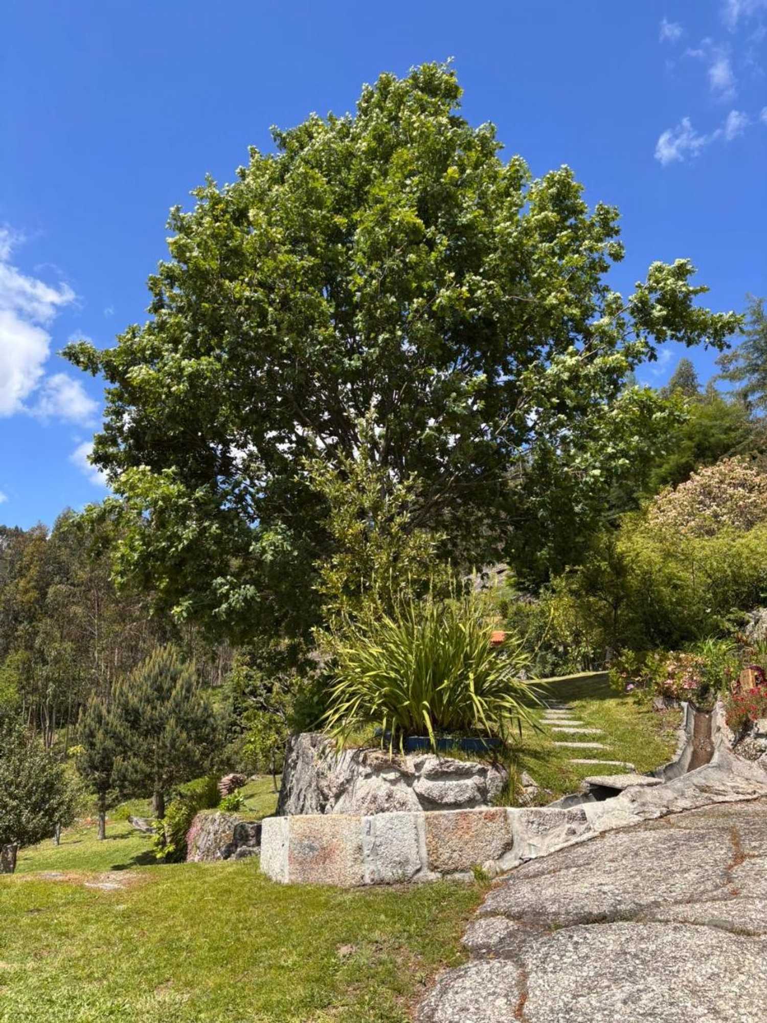 Gift card for Casa Das Leiras