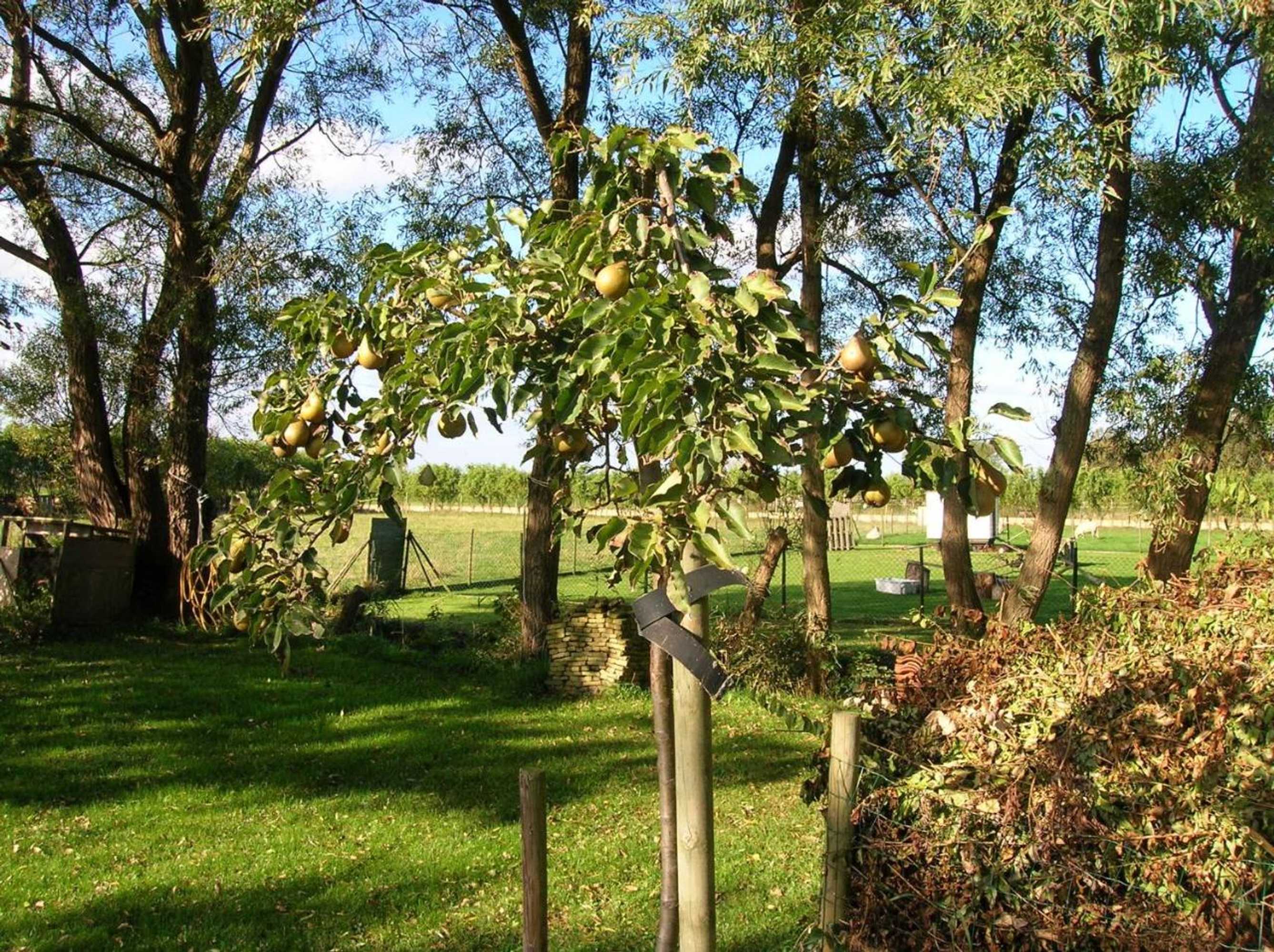 Gift card for Appels en Peren Bed And Breakfast