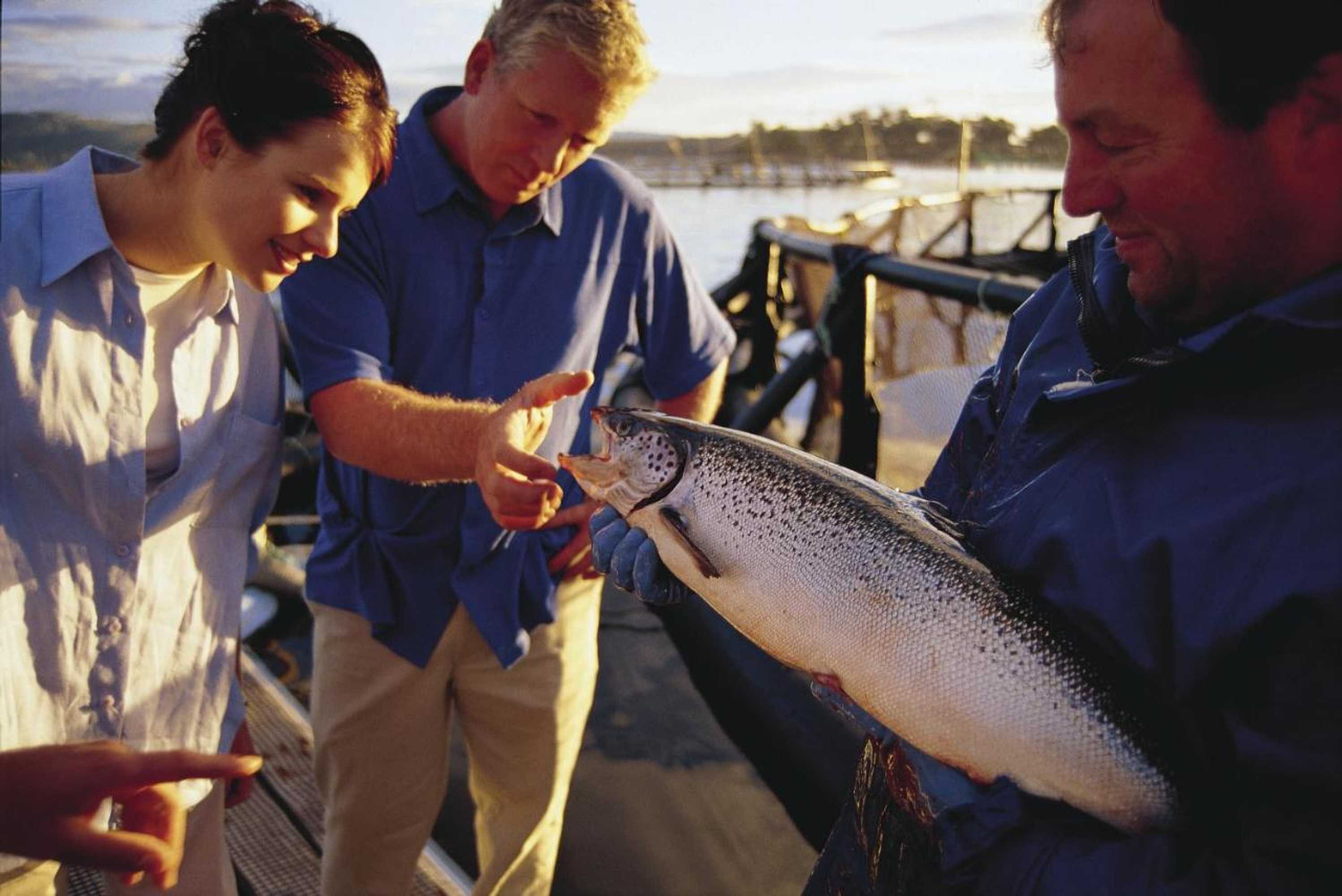 Gift card for Kermandie Hotel