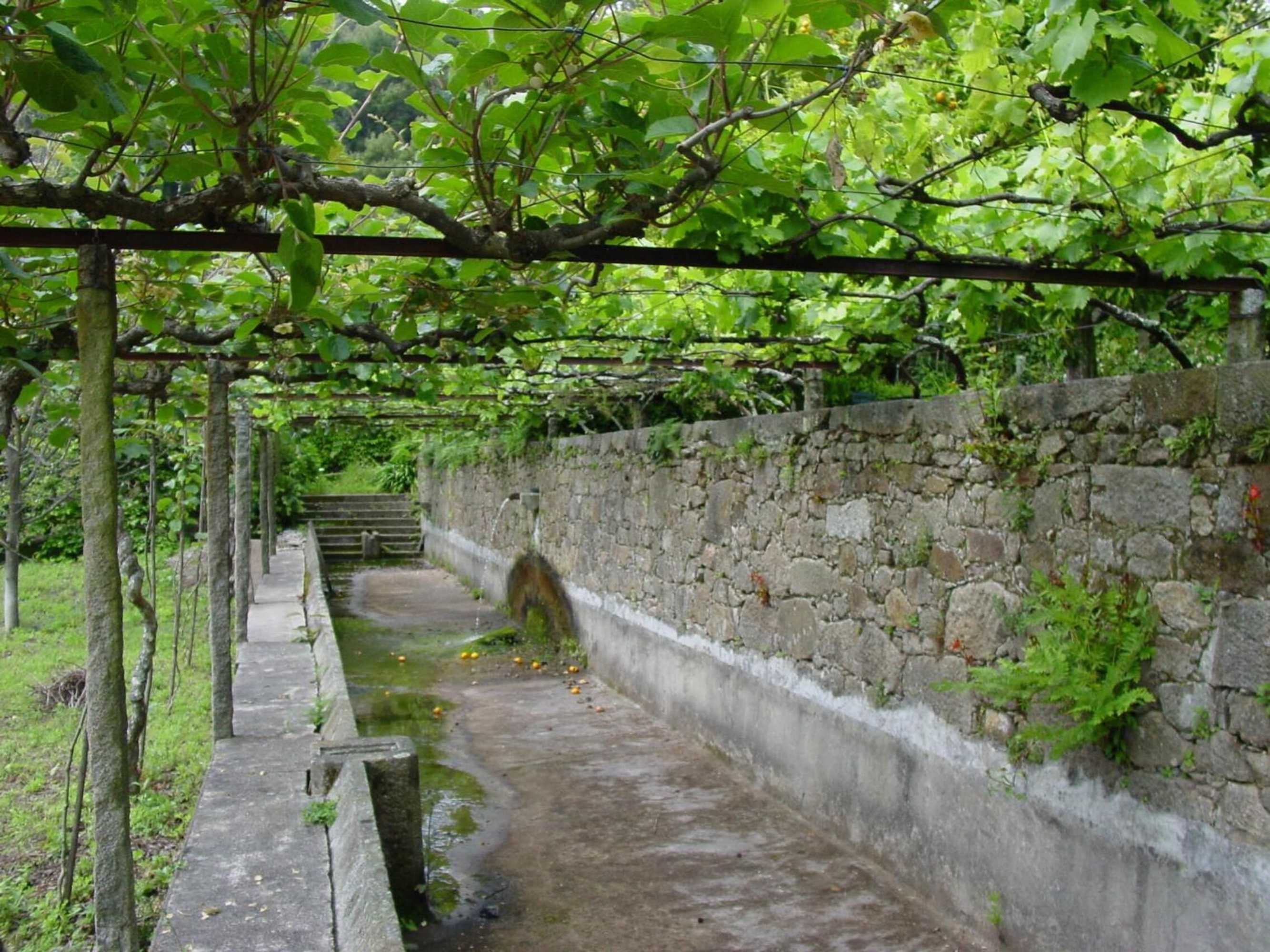 Gift card for Quinta da Picaria