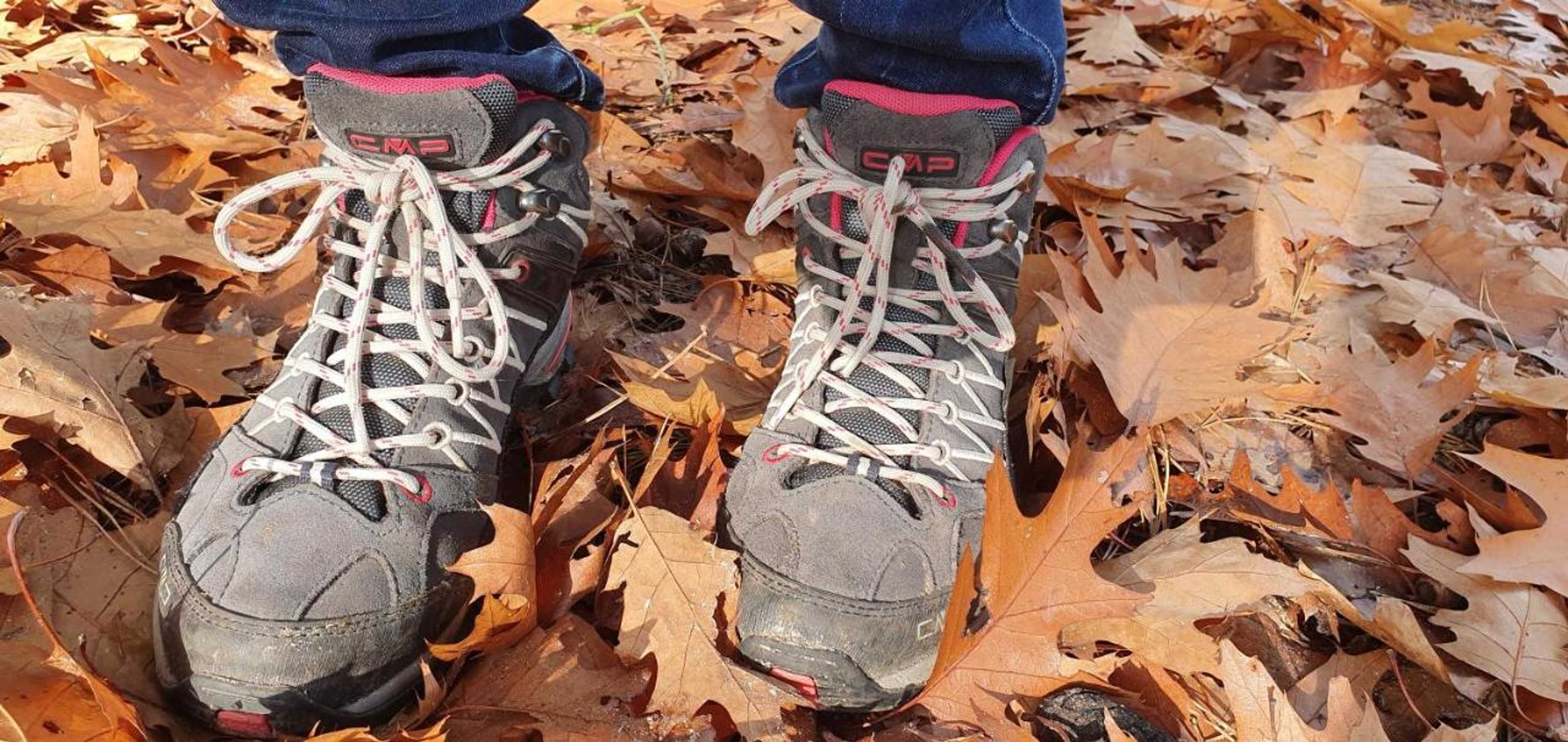 Gift card for Bed en Breakfast de Olm