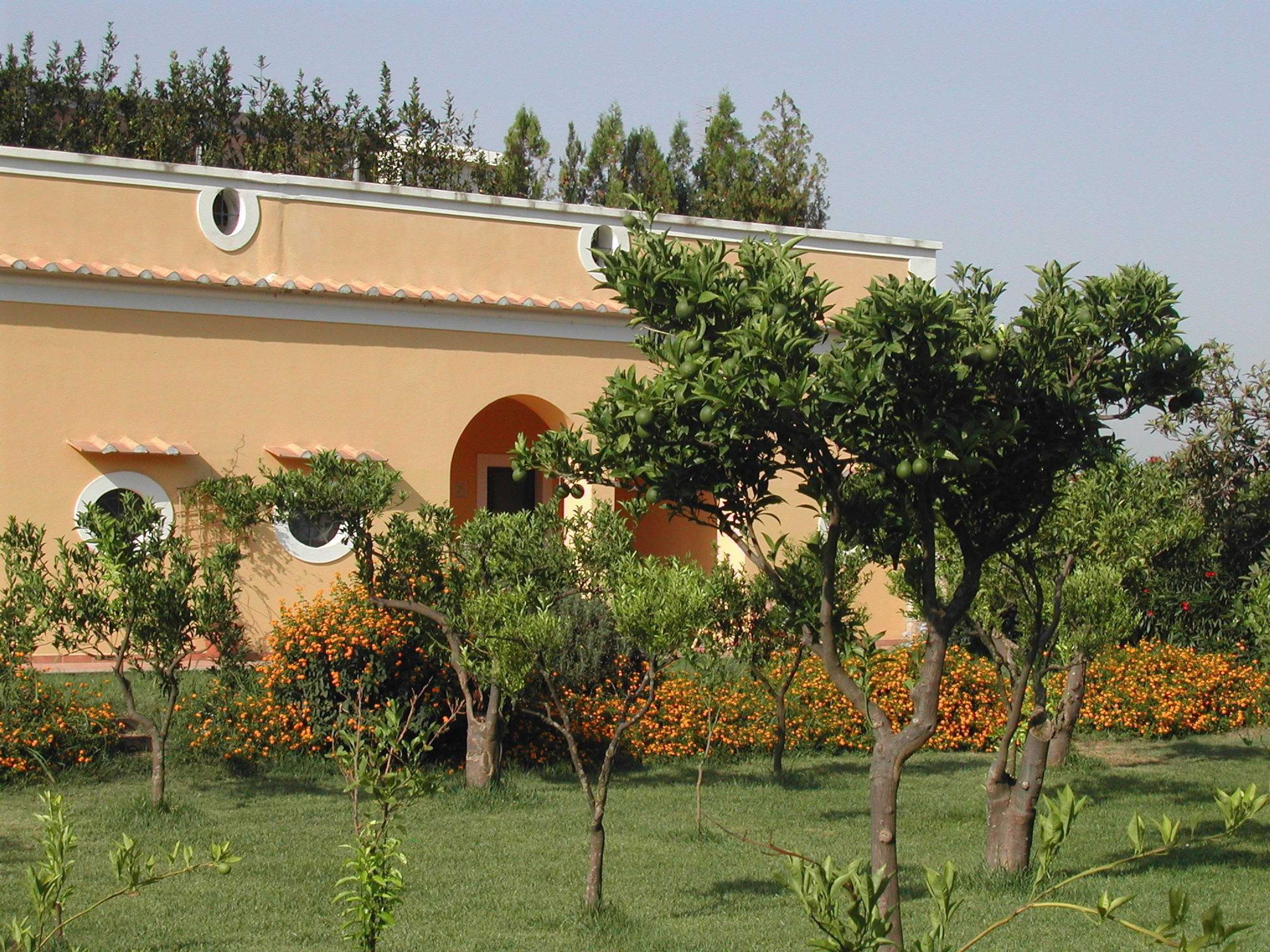 Gift card for Masseria La Morella Gift card for Masseria La Morella