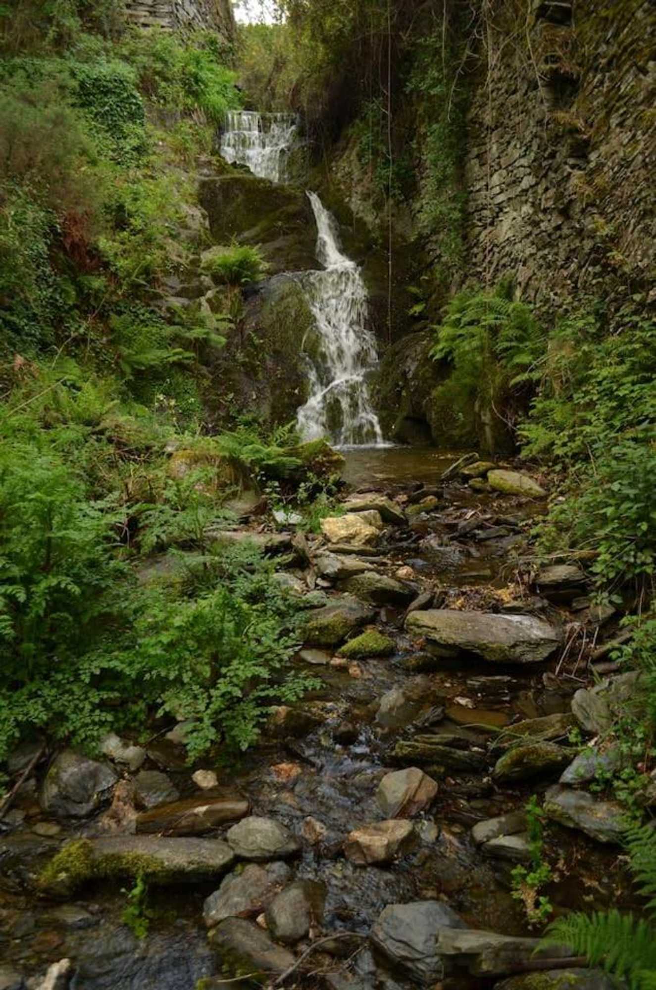 Gift card for Casa do Loureiro