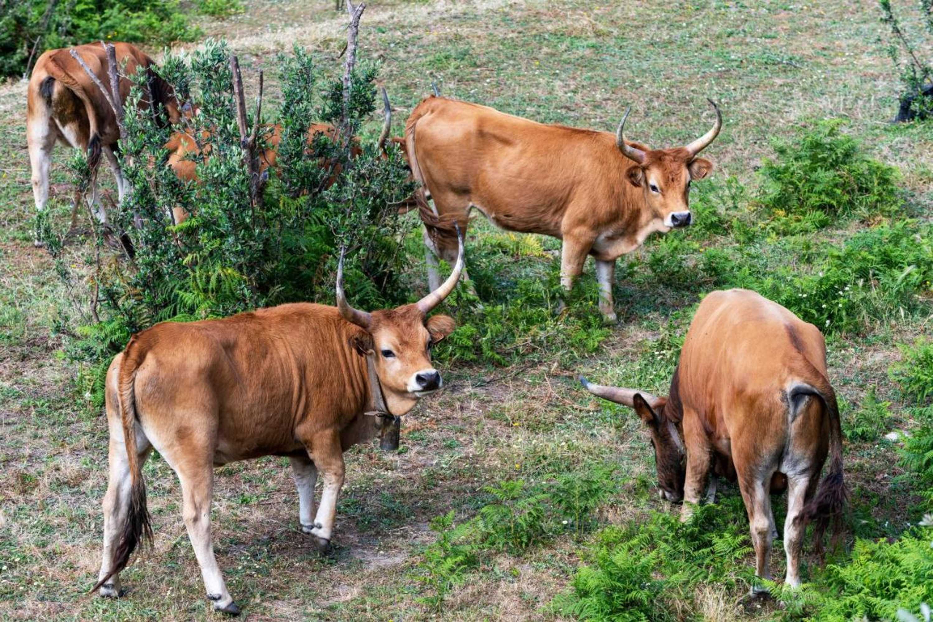 Gift card for Quinta da Tapada