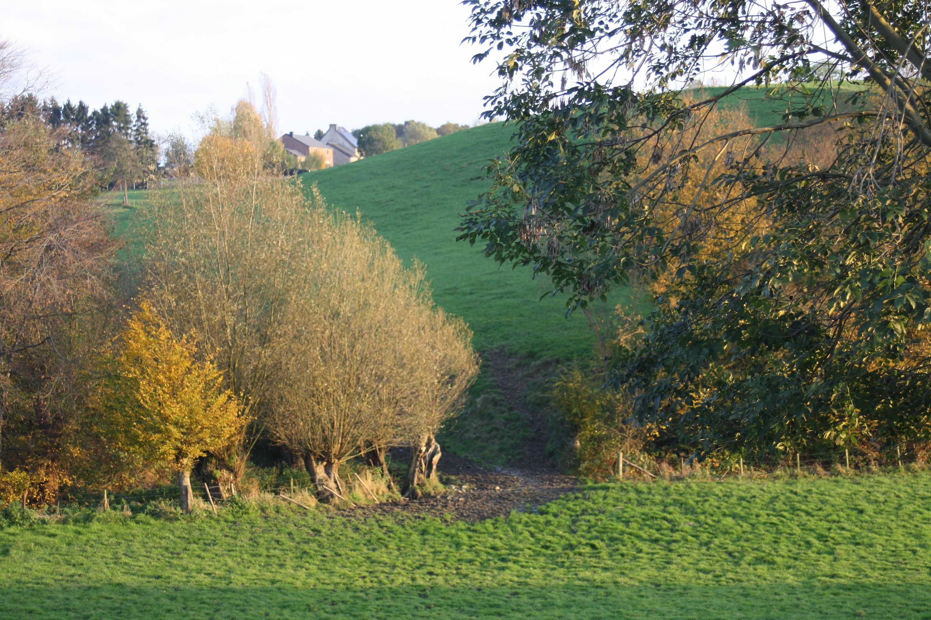 Gift card for Ô Macra