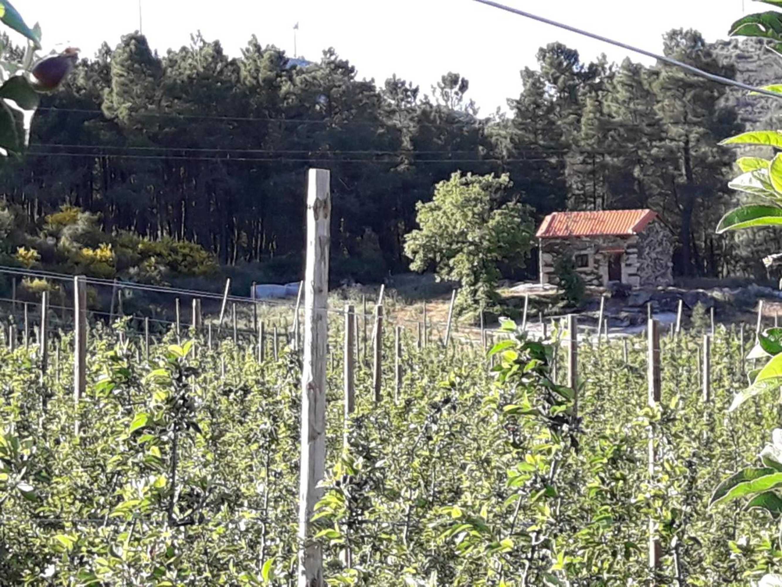 Gift card for Casa do Feitor - Douro - Quinta da Cabrida Gift card for Casa do Feitor - Douro - Quinta da Cabrida