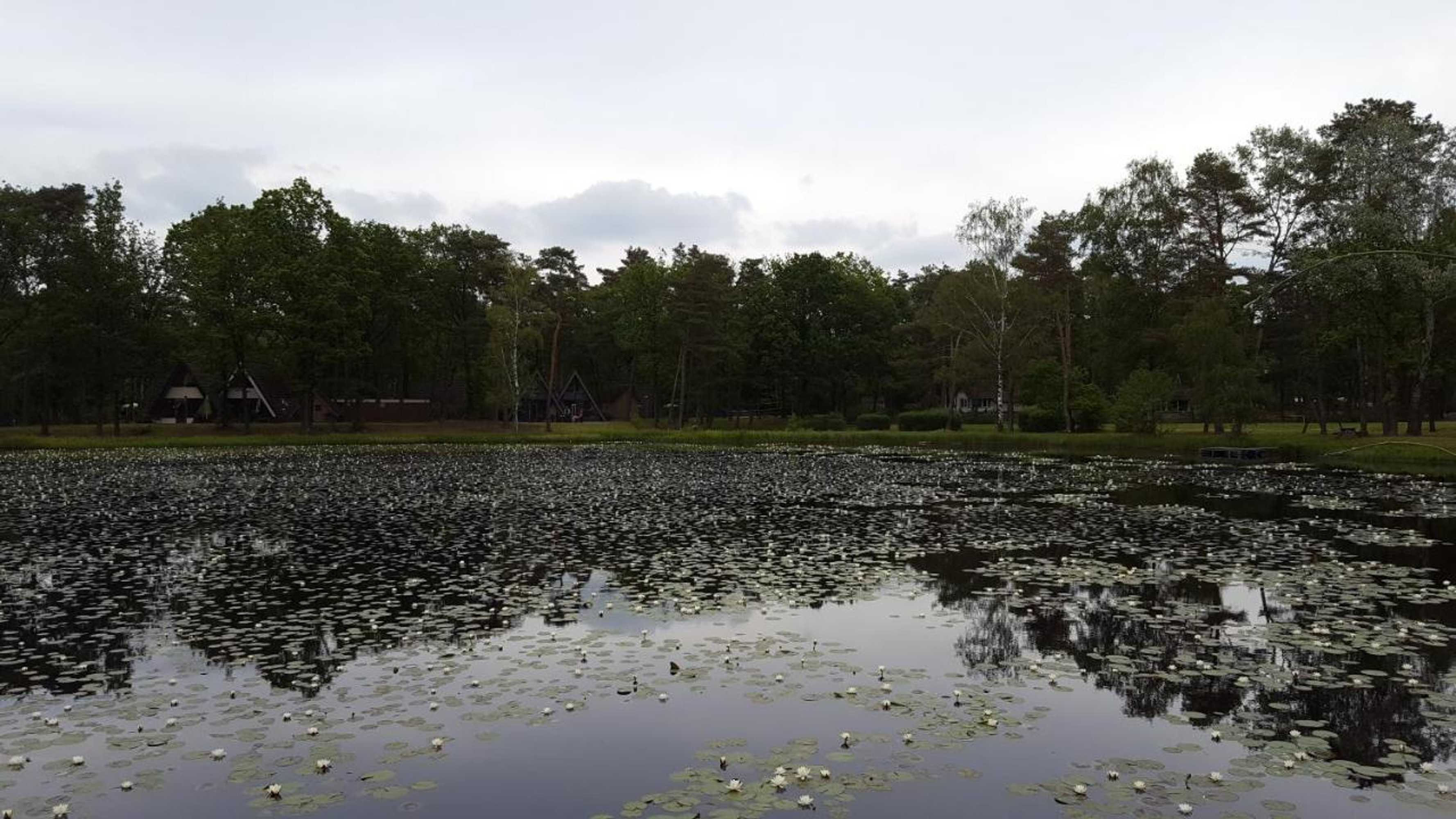 Gift card for Vosseven 32 Geelgors