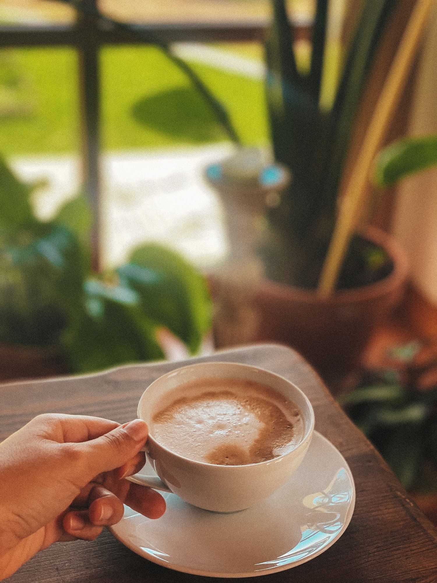 Gift card for Quinta Amarela