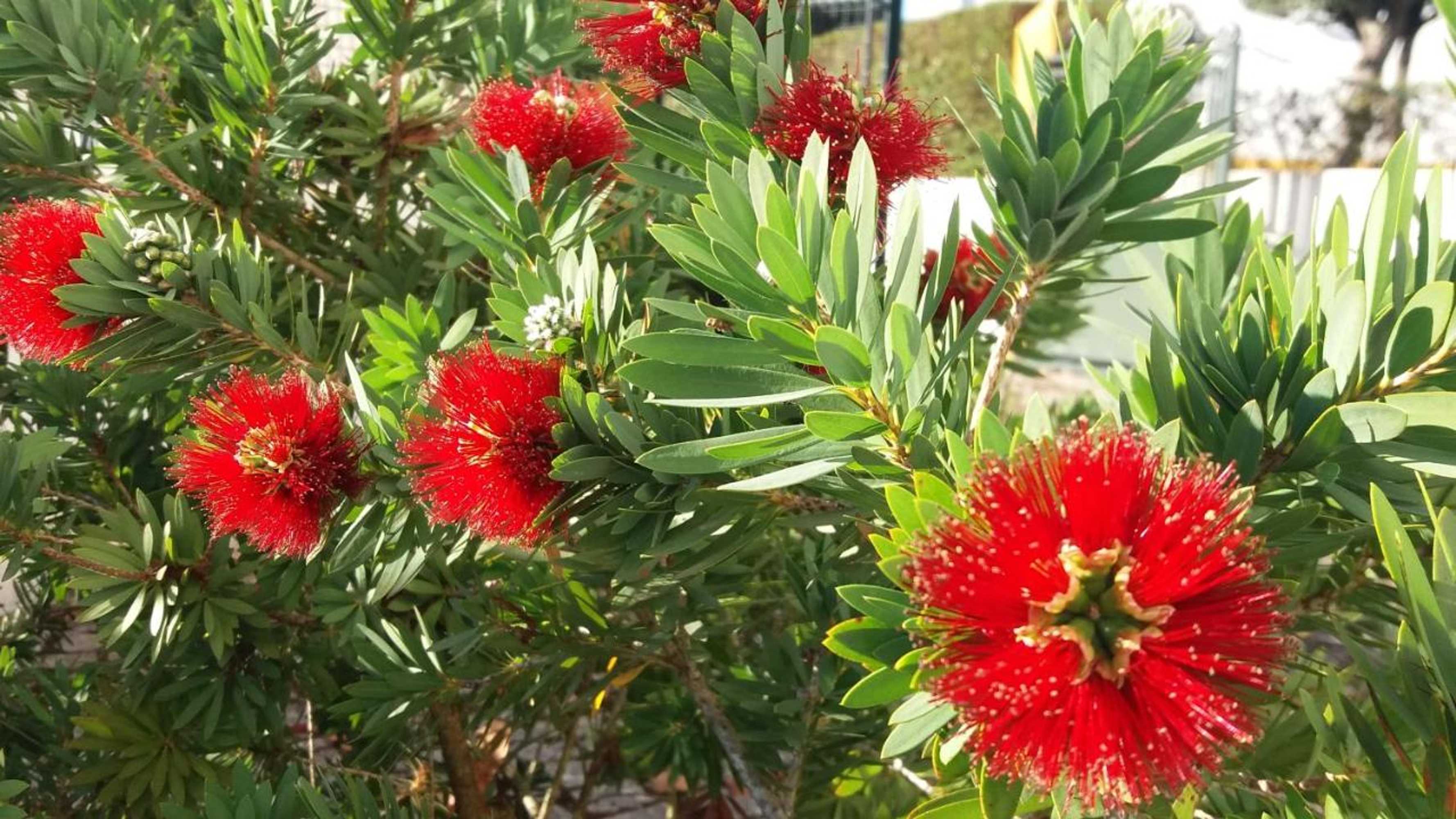 Gift card for Encosta da Camarinha Gift card for Encosta da Camarinha