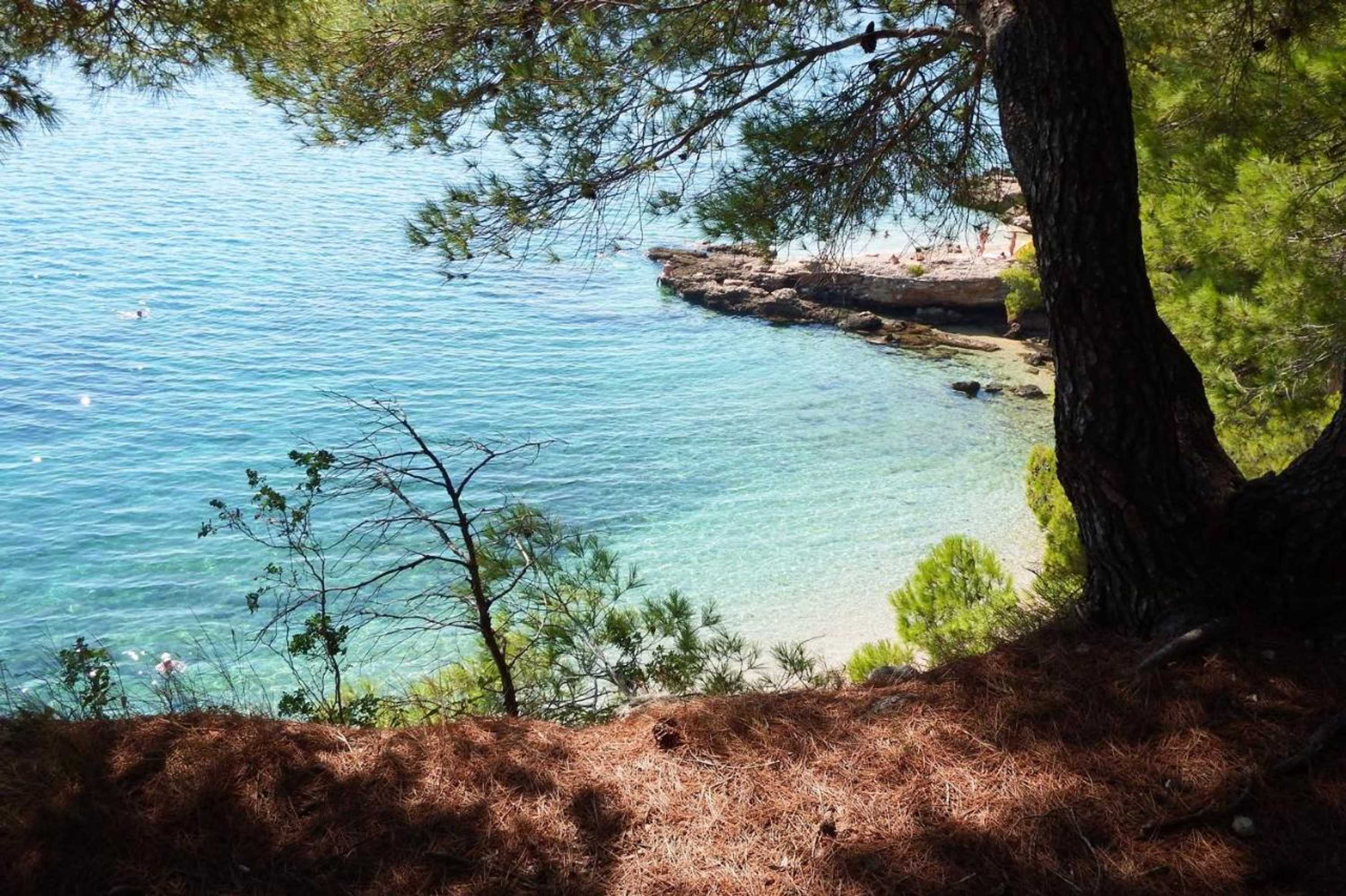 Gift card for Villa Blanka