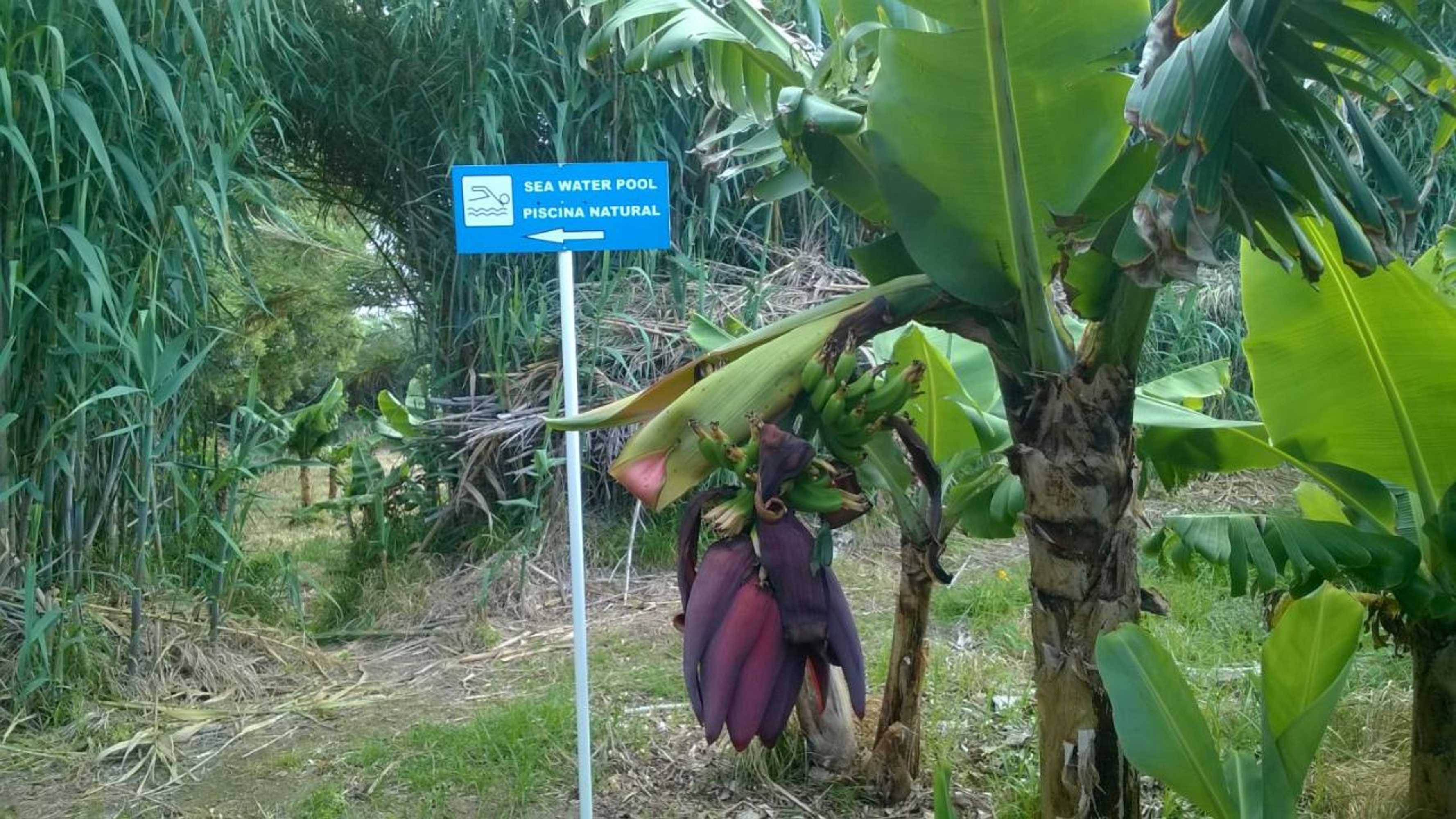 Gift card for Qva - Quinta Velha Das Amoreiras