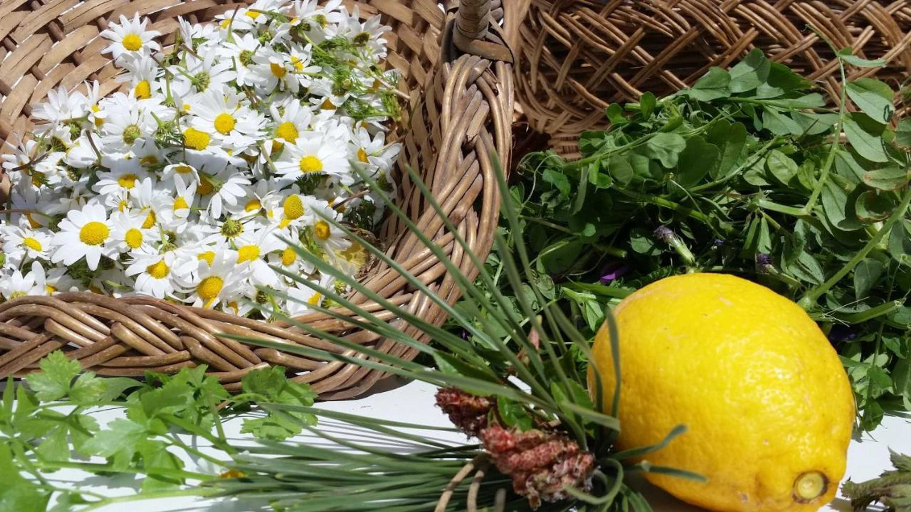 Gift card for Meio Country House