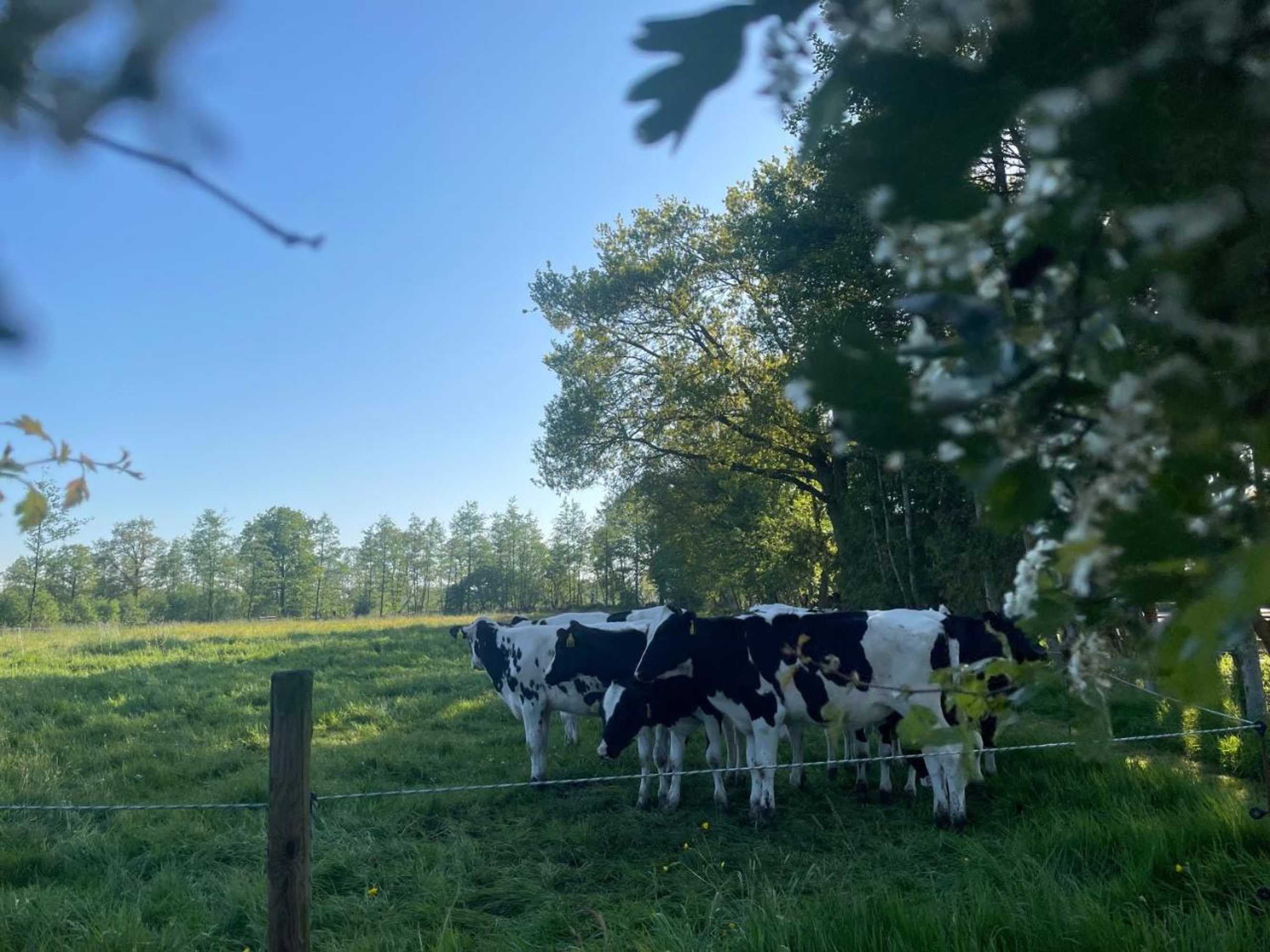 Gift card for B&b 't Landschap