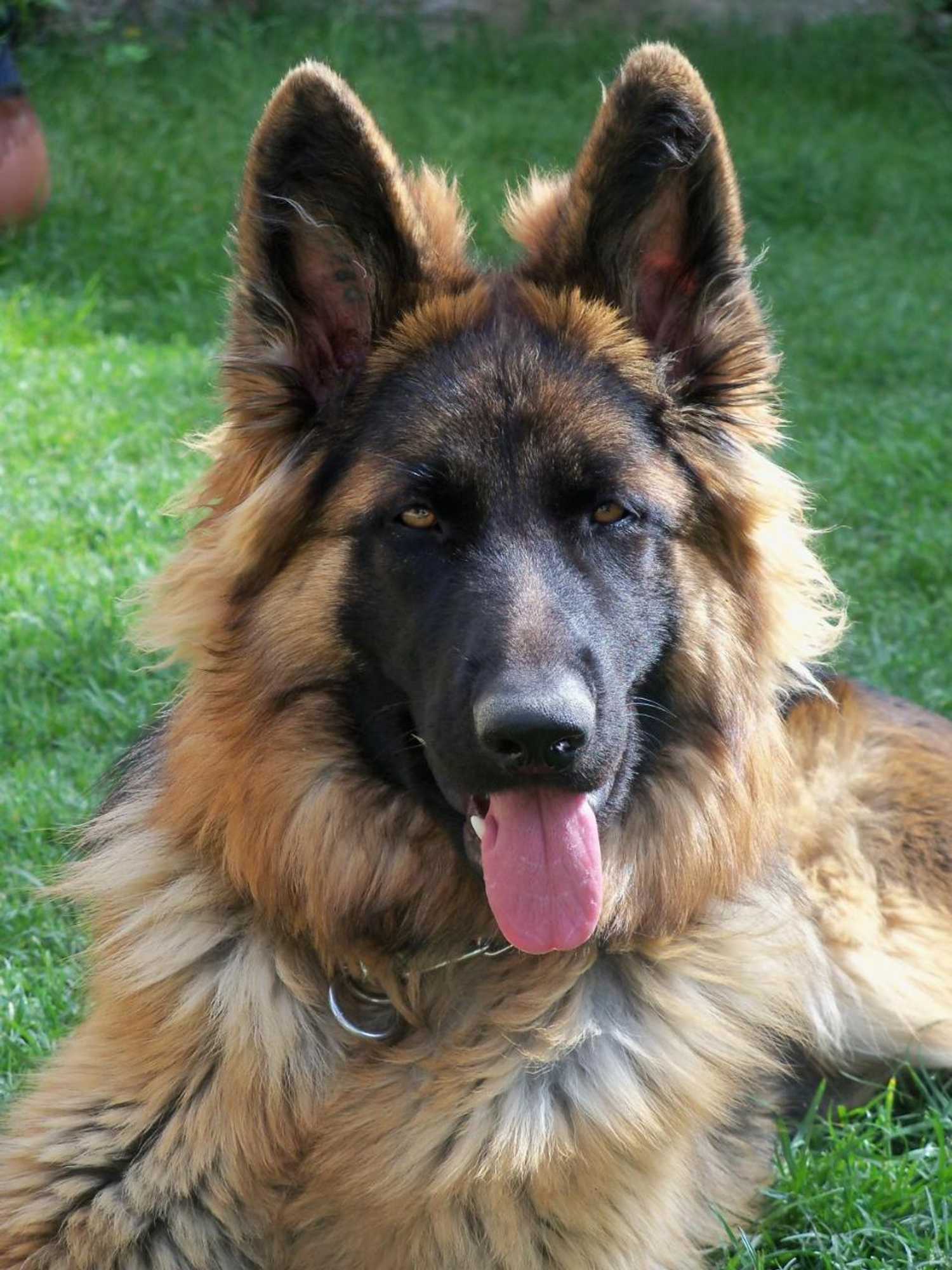 Gift card for La Migrane