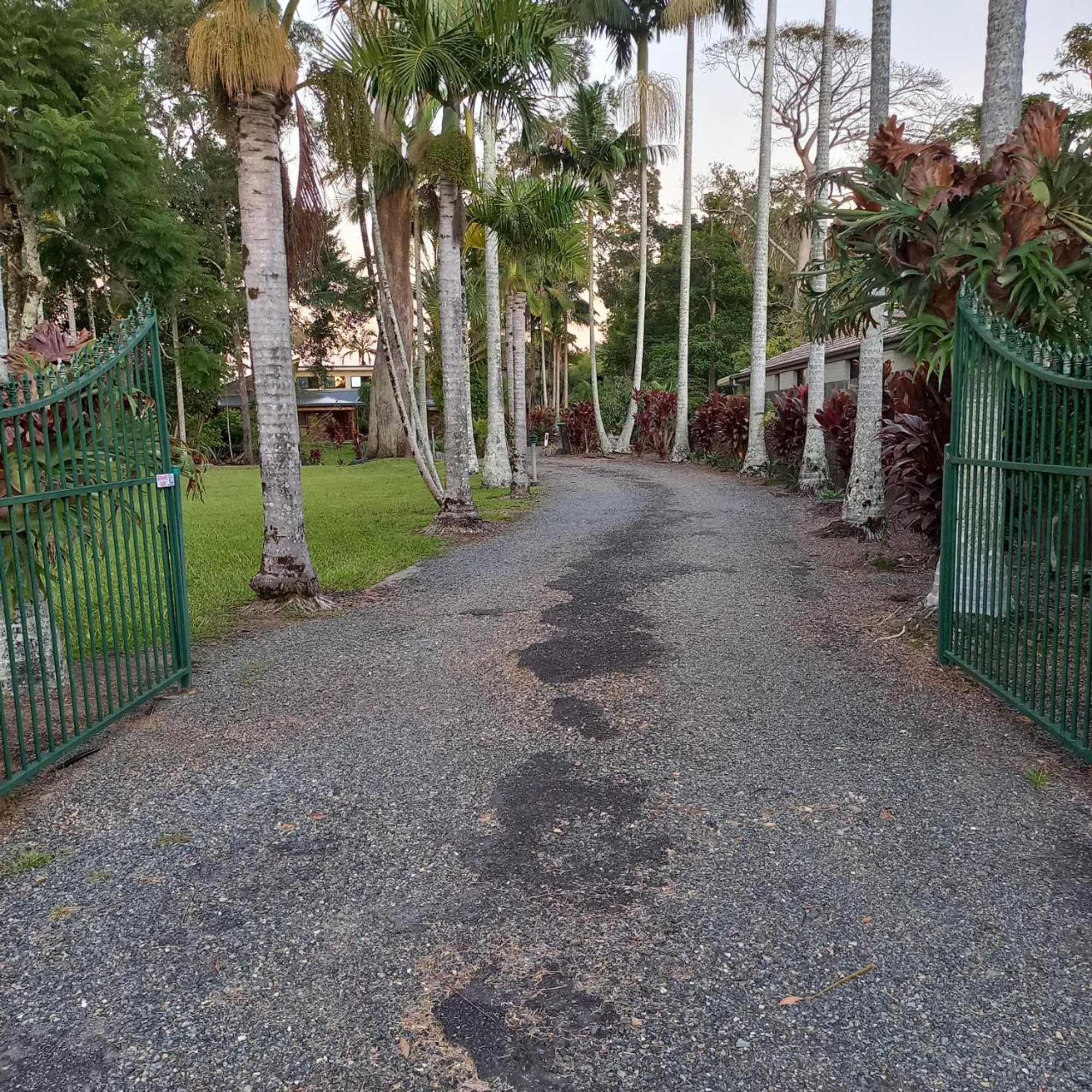 Gift card for Emerald Tropical Palms B & B Gift card for Emerald Tropical Palms B & B