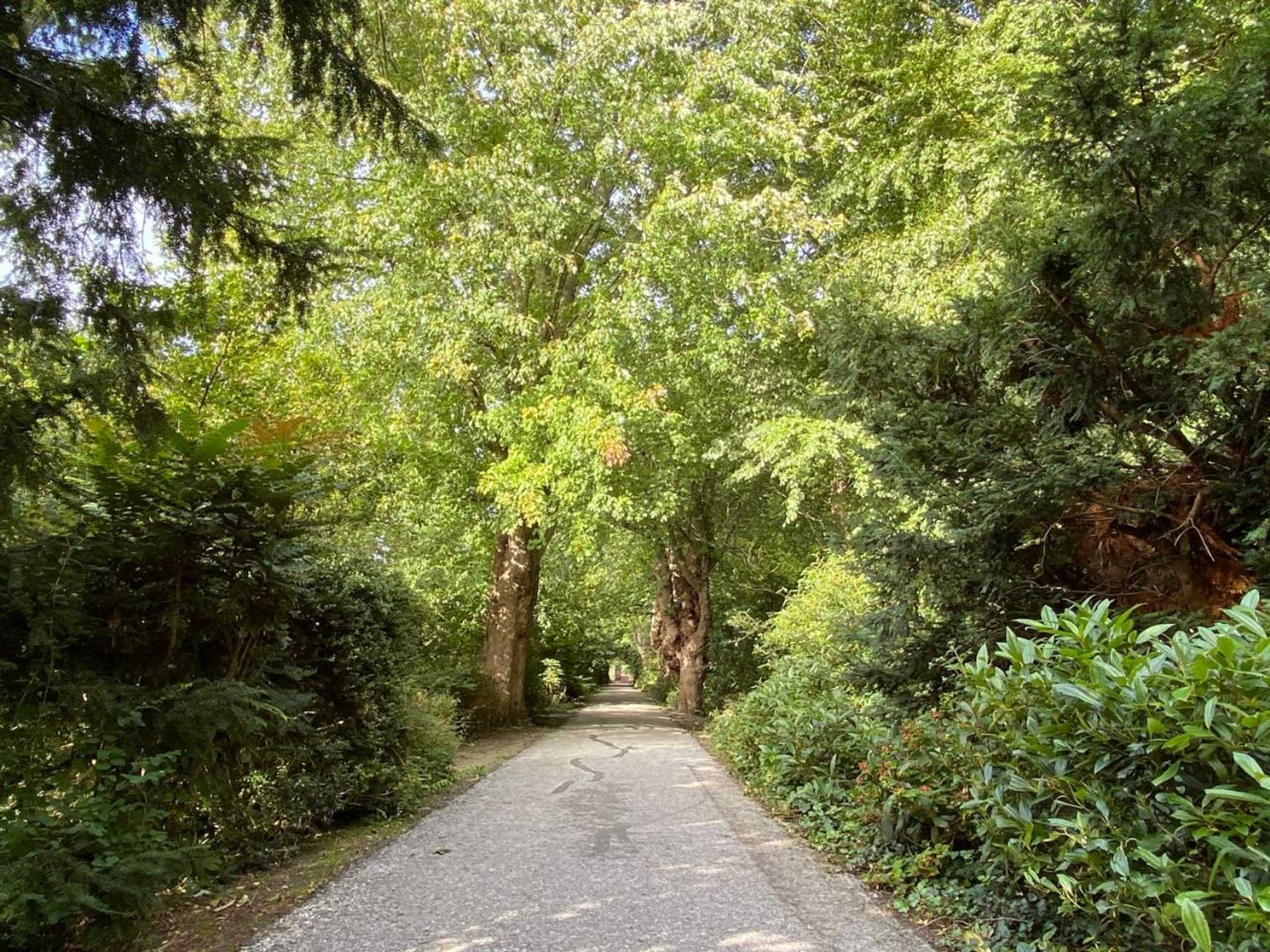 Gift card for Bed And Breakfast Het Emmapark Medemblik