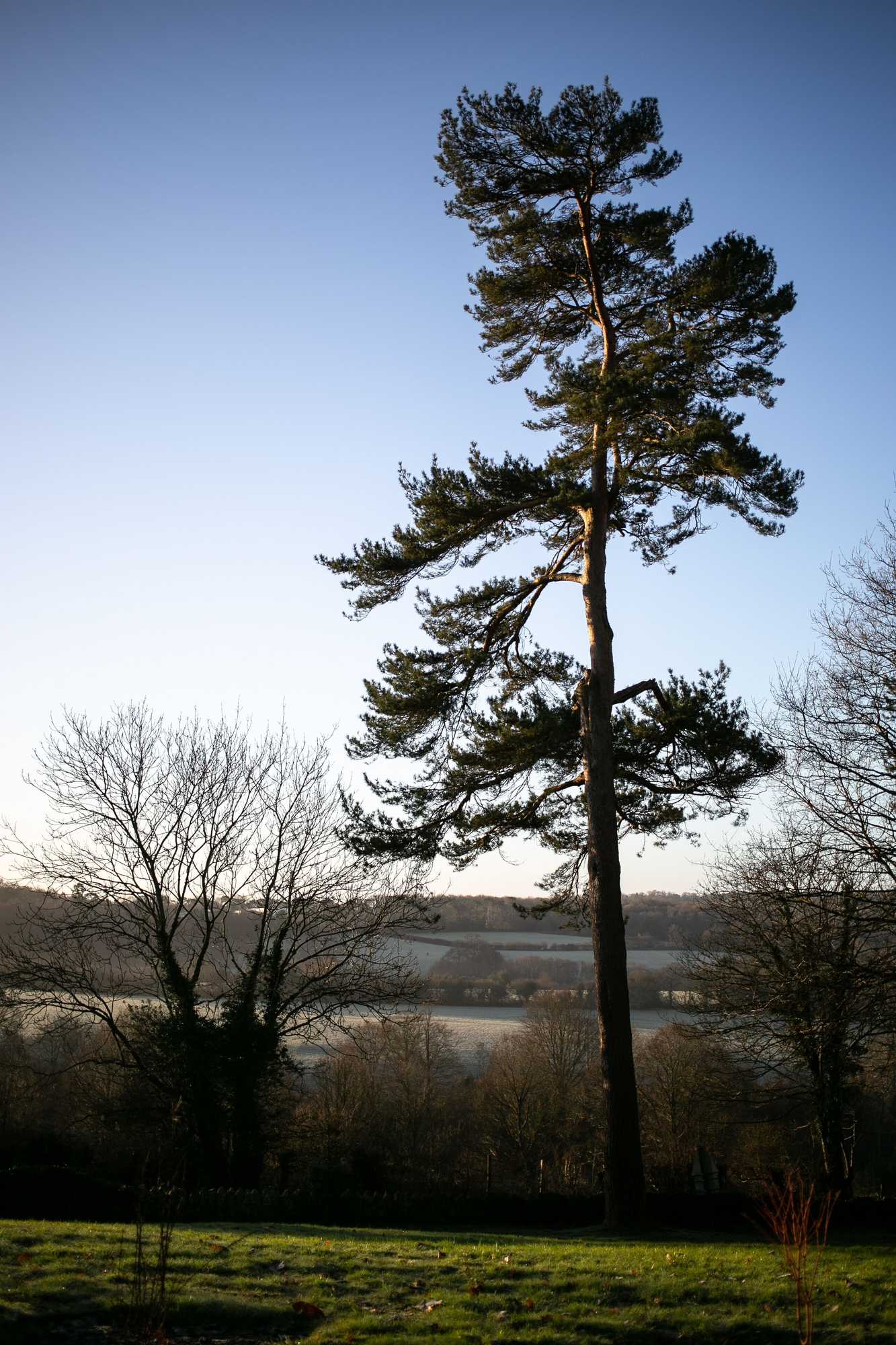 Gift card for Accommodation at Salomons Estate Gift card for Accommodation at Salomons Estate