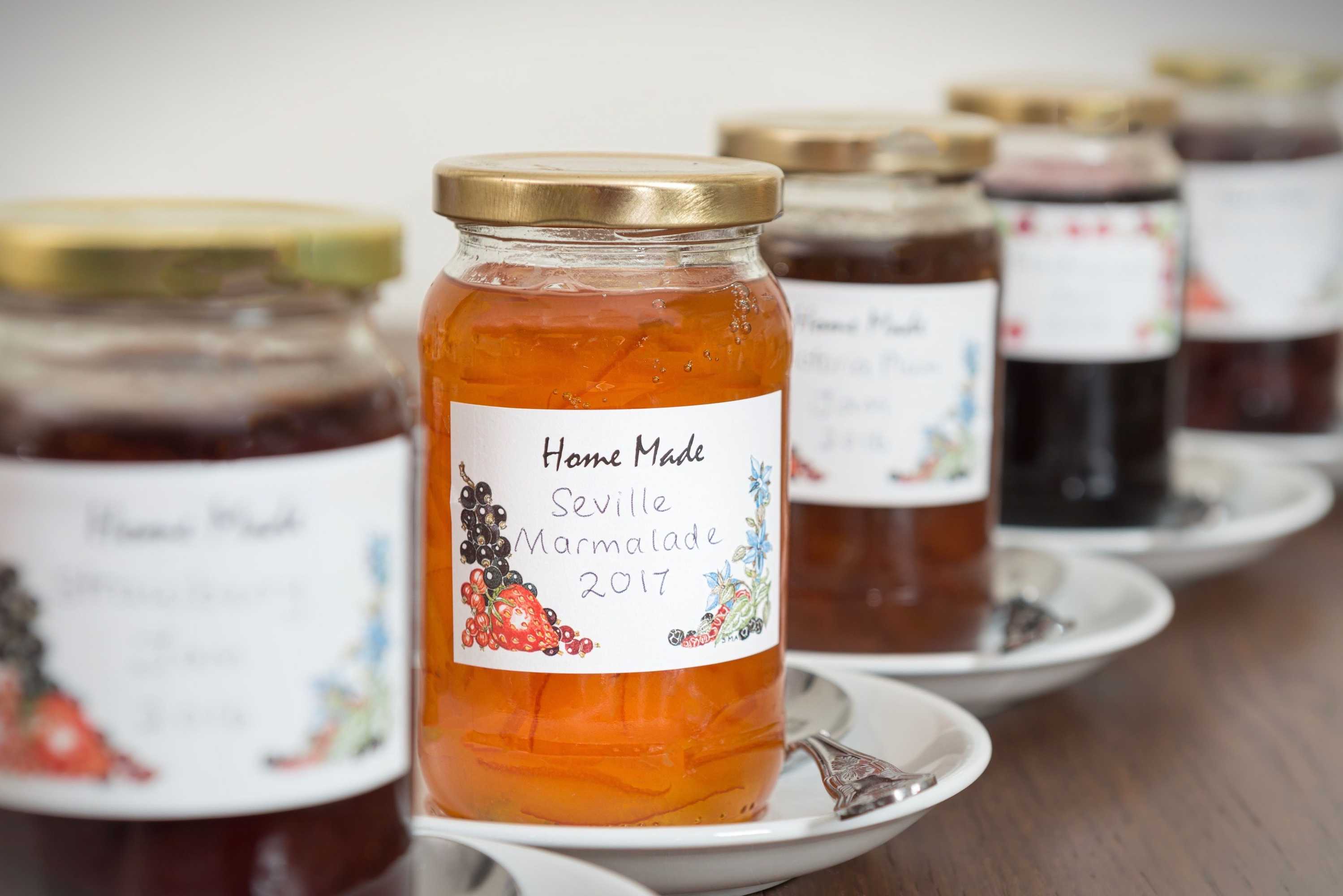 Gift card for Ammonite Lodge Guest House