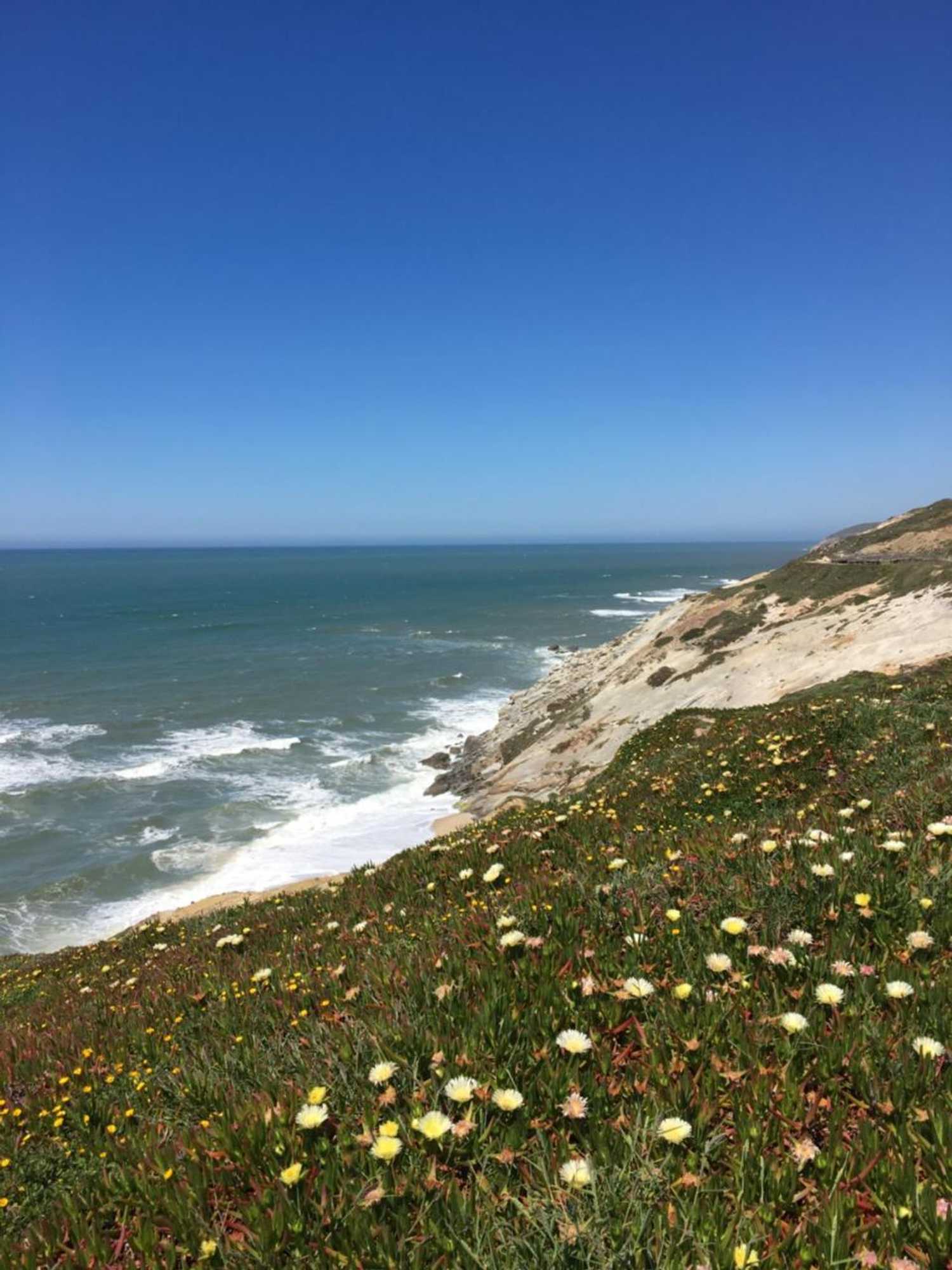 Gift card for Casa Coloridos