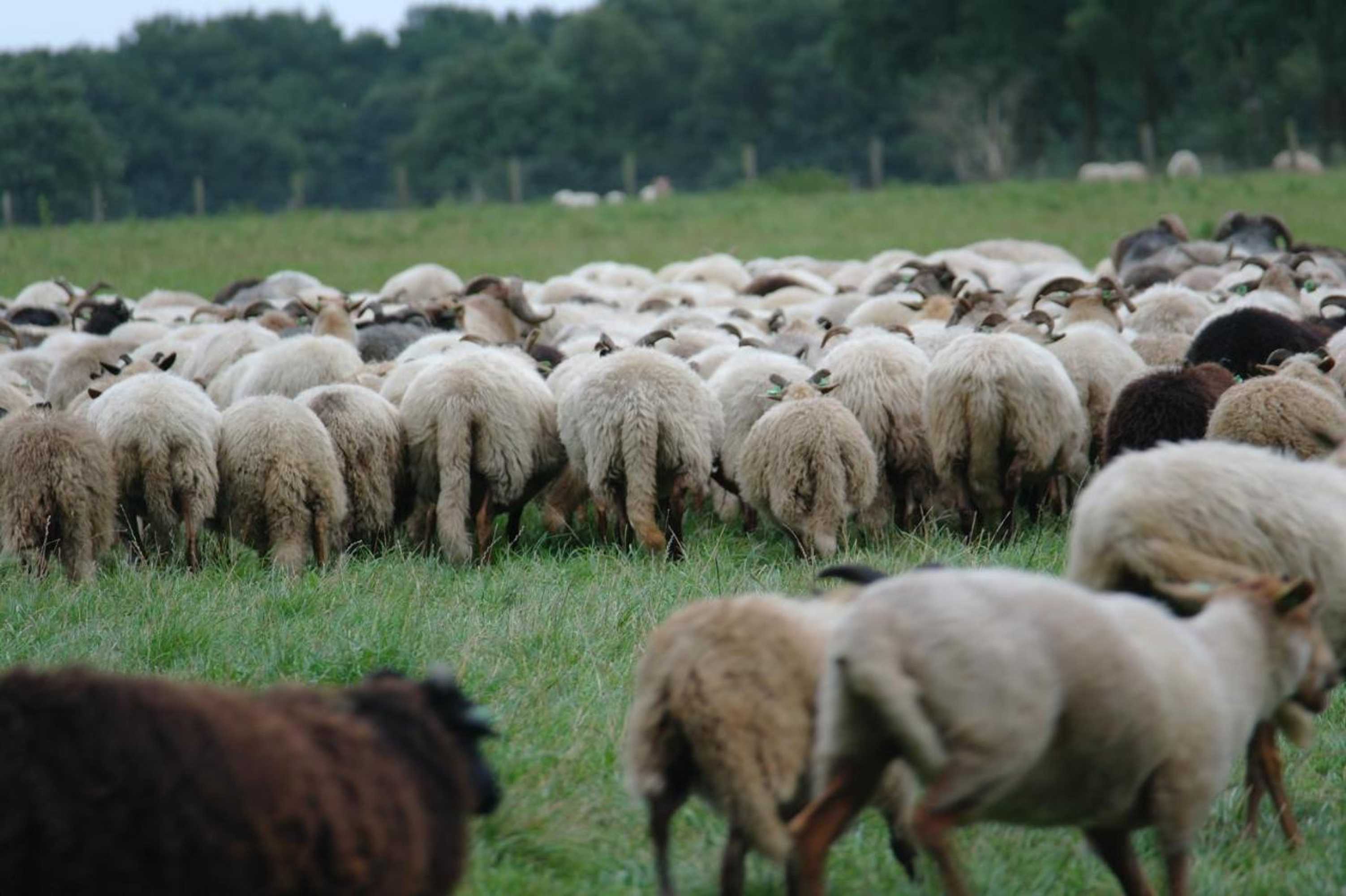 Gift card for The4seasons