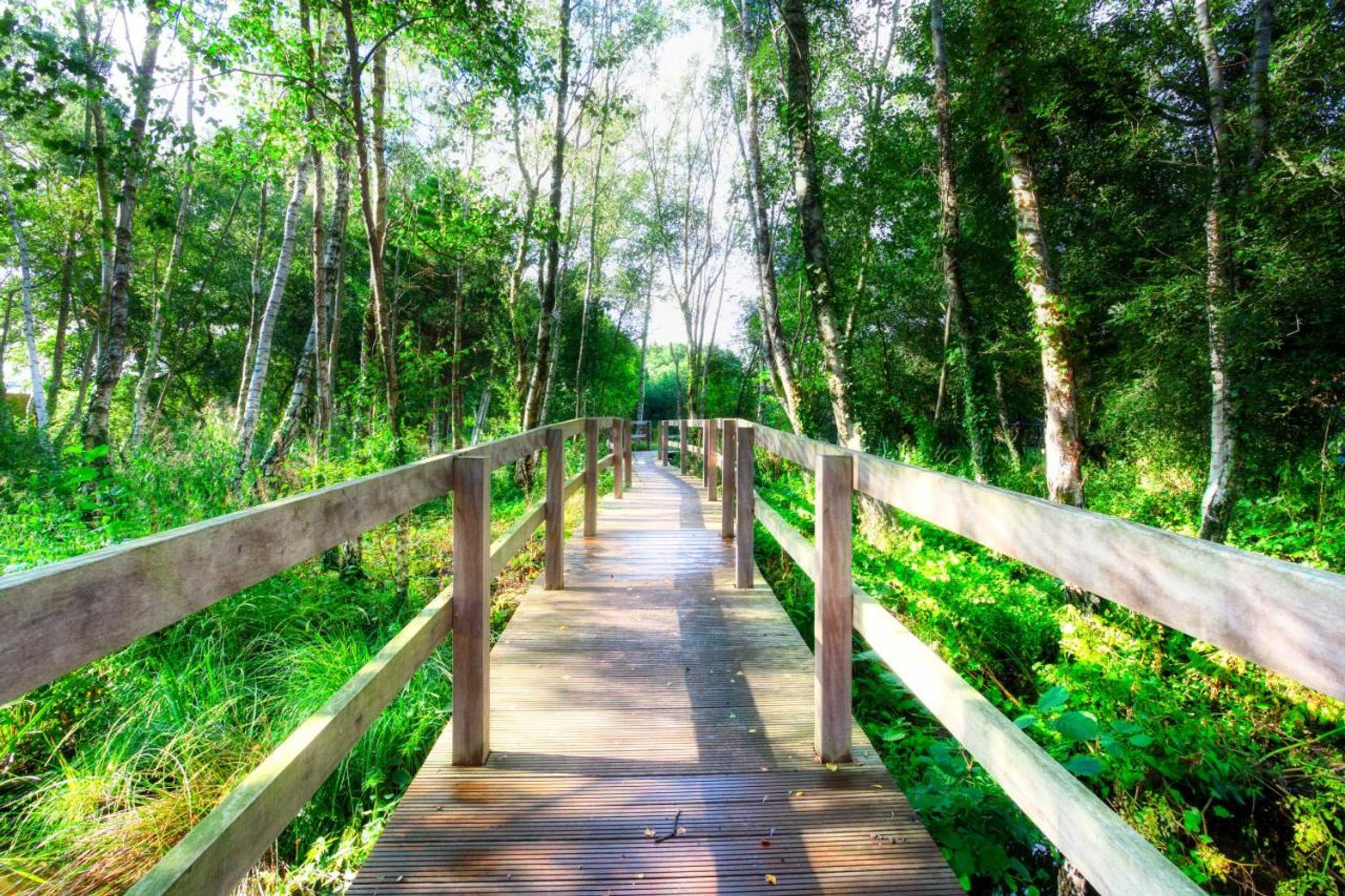 Gift card for Lakeside Lodge, Green Hill Farm Holiday Village