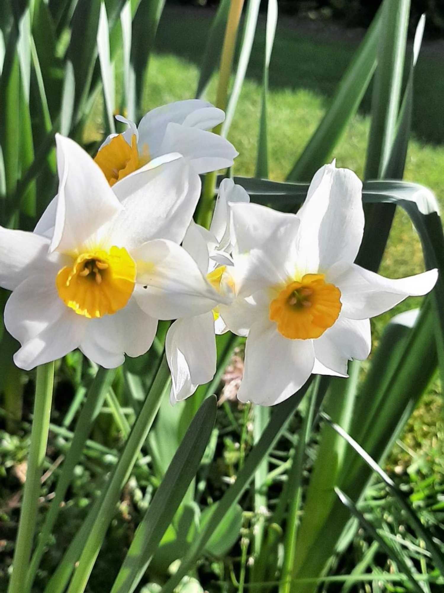 Gift card for Bunratty Haven Bed & Breakfast Gift card for Bunratty Haven Bed & Breakfast