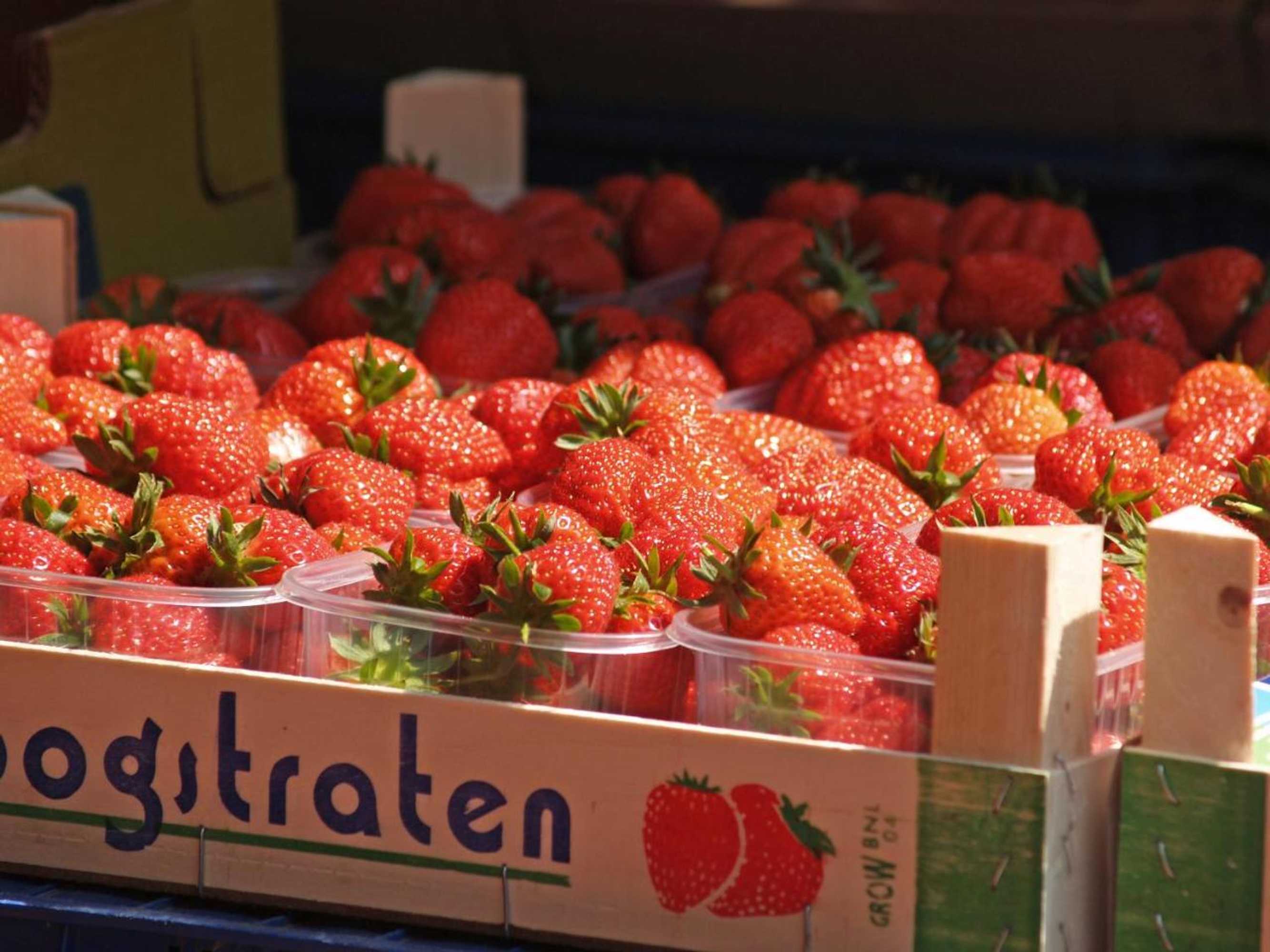 Gift card for De Spreekkamer