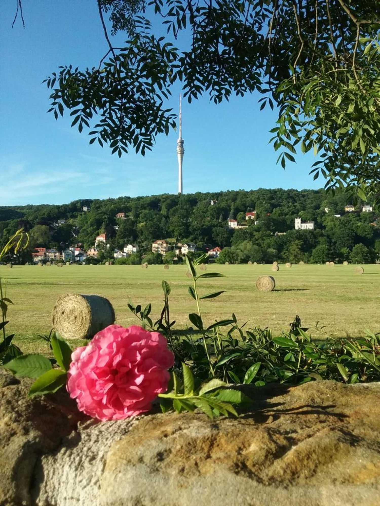 Gift card for Alttolkewitzer Ferien- & Privatzimmer Mrosk Dresden