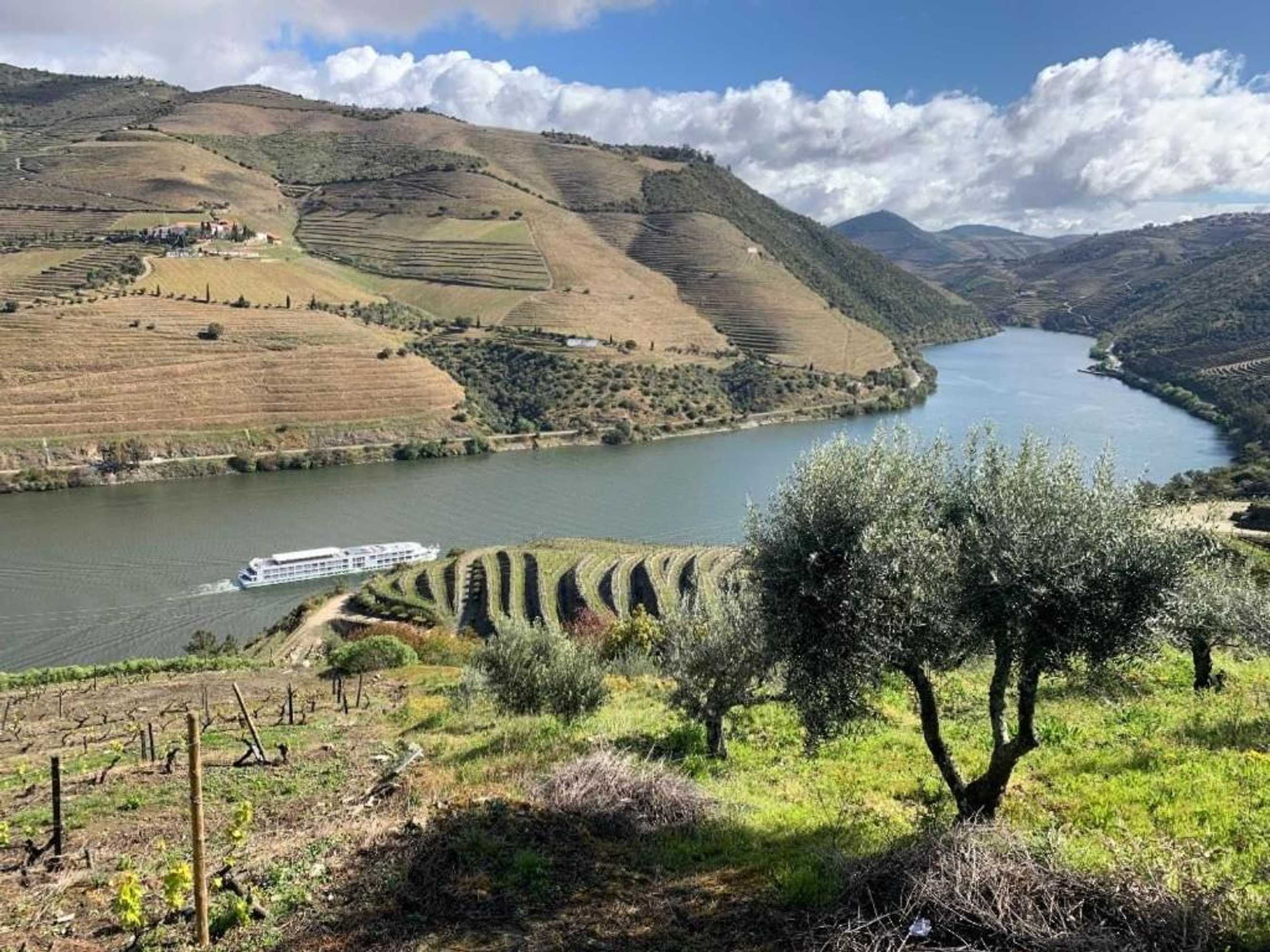 Gift card for Quinta da Casa Cimeira, Guest House, Wines & Food Gift card for Quinta da Casa Cimeira, Guest House, Wines & Food