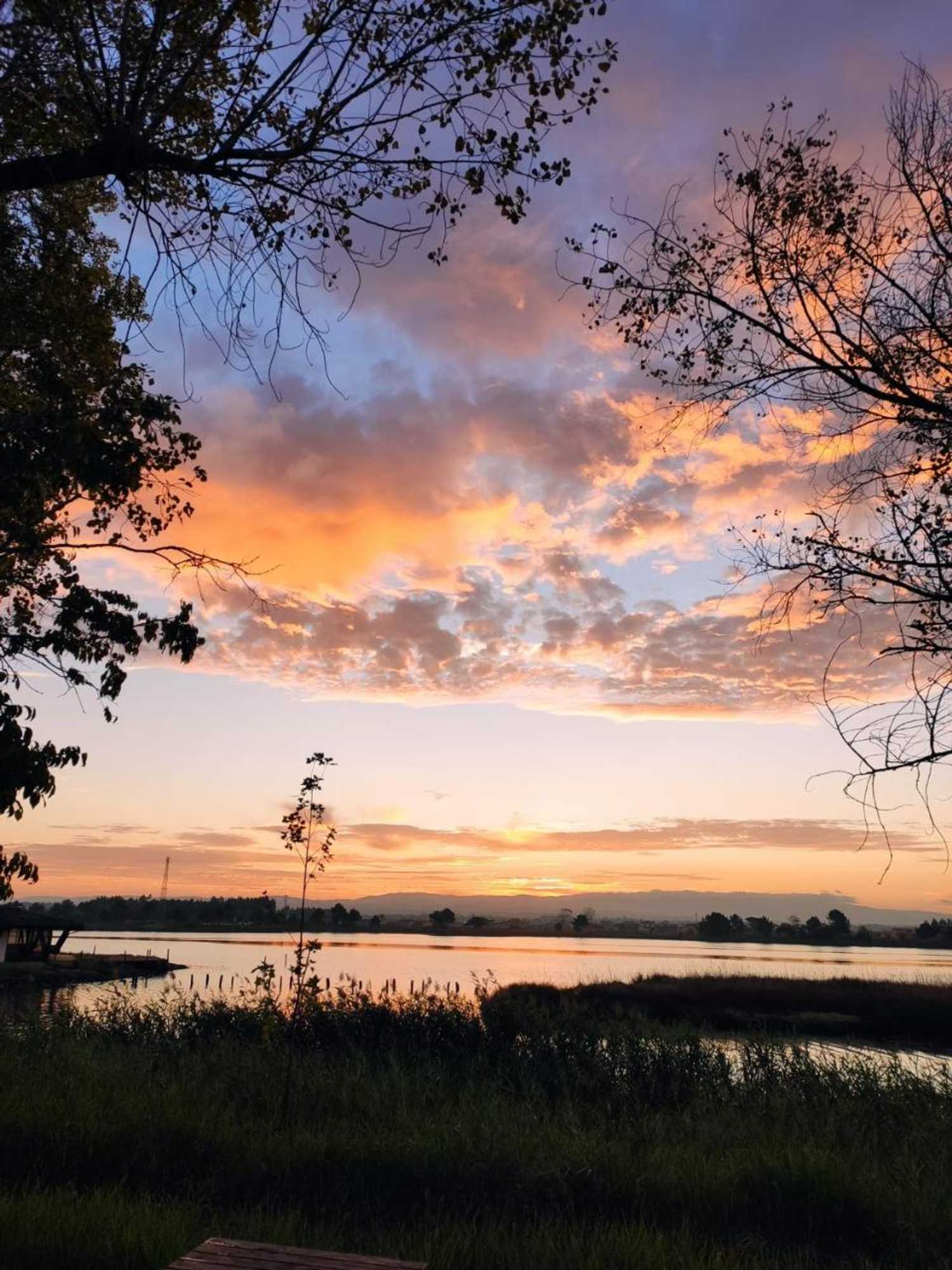 Gift card for Aqua Hotel