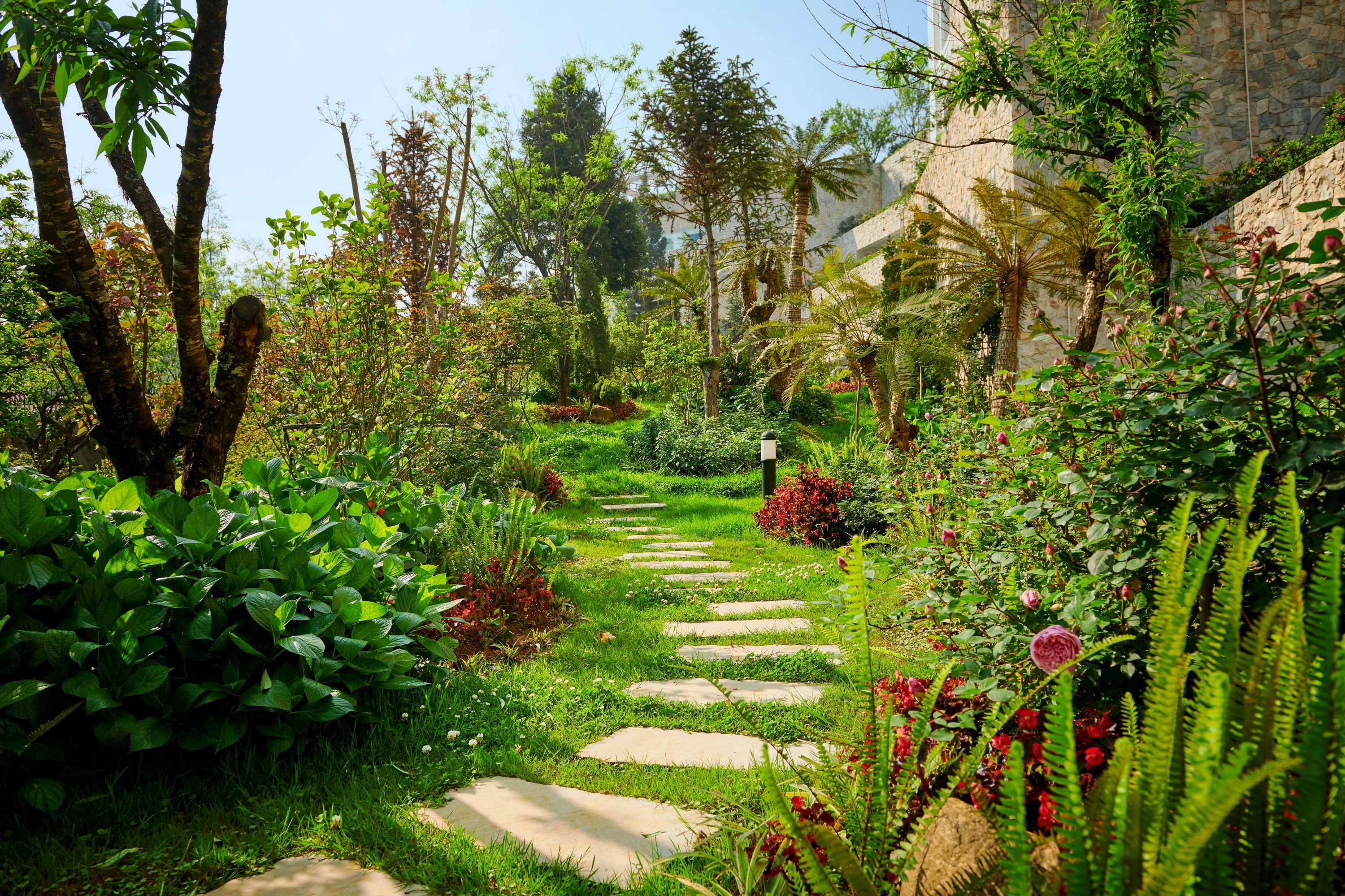 Gift card for Silk Path Grand Sapa Resort & Spa Gift card for Silk Path Grand Sapa Resort & Spa