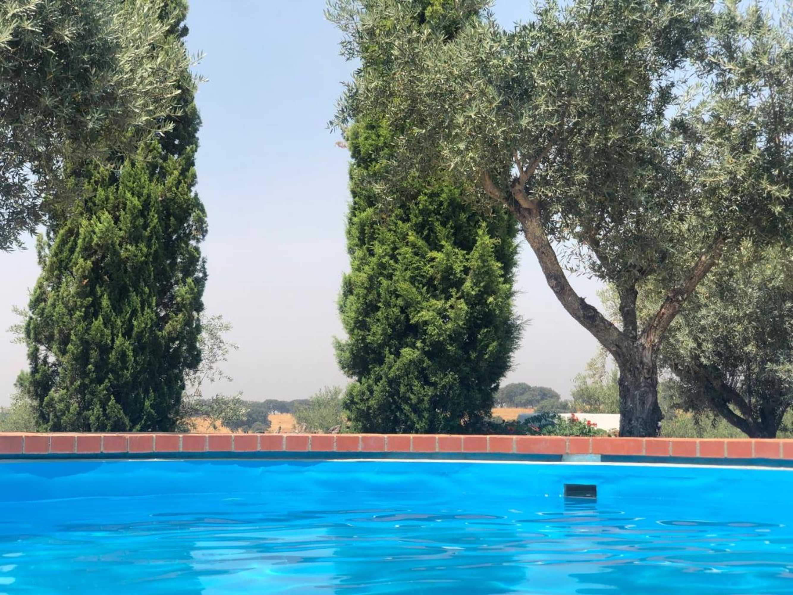 Gift card for Monte Papa Toucinho