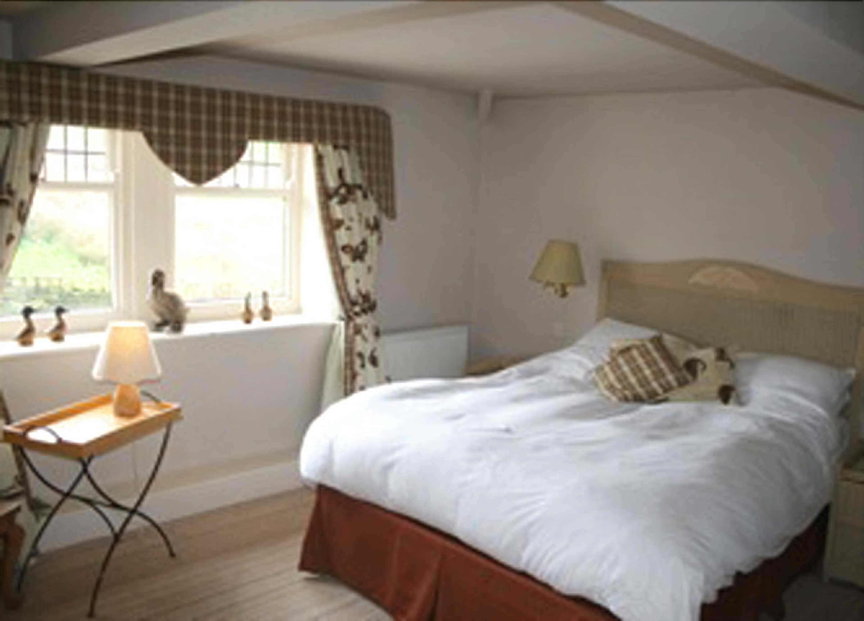 Gift card for The Olive Branch Inn