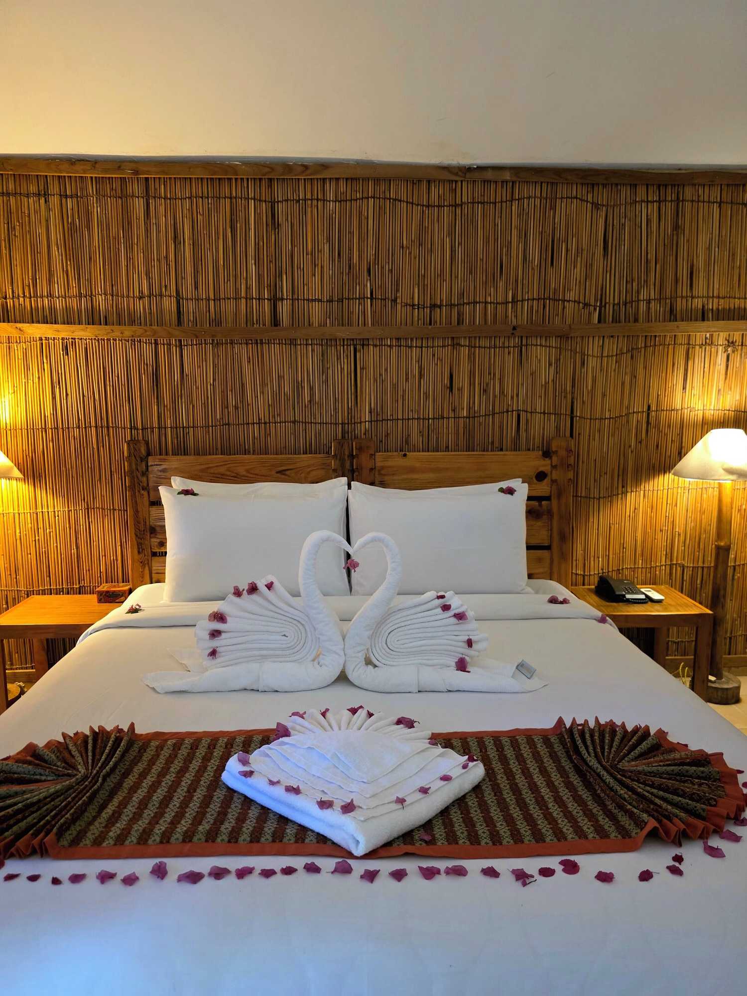 Gift card for Siddhartha Wildlife Retreat Gift card for Siddhartha Wildlife Retreat