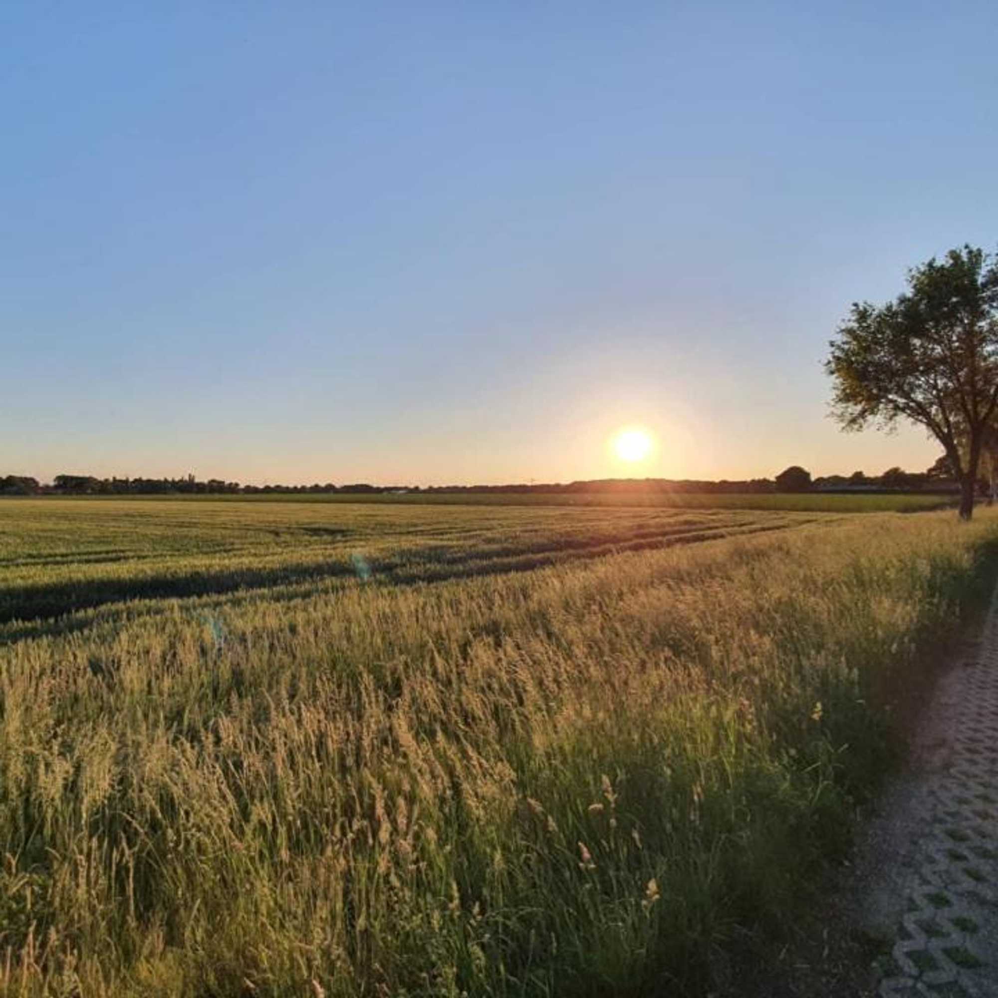 Gift card for De Vliegende Vlinder