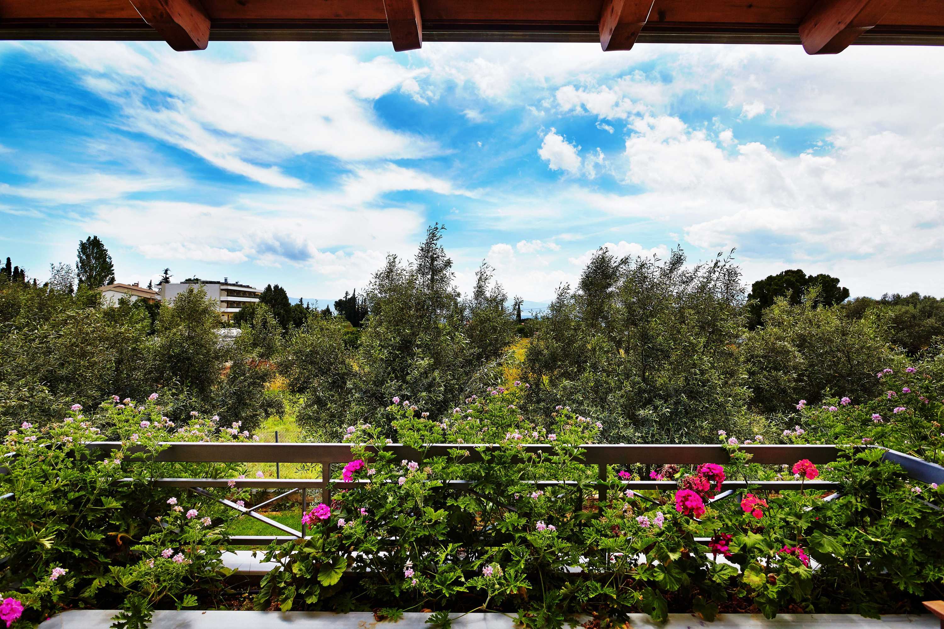 Gift card for Miramare Hotel Eretria Gift card for Miramare Hotel Eretria