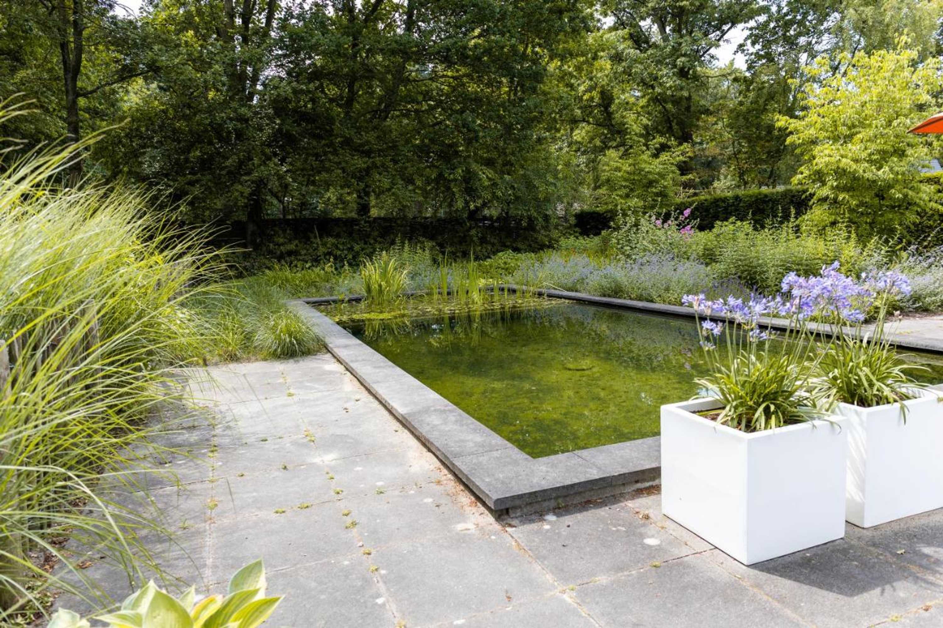 Gift card for Bed & Breakfast Avellano