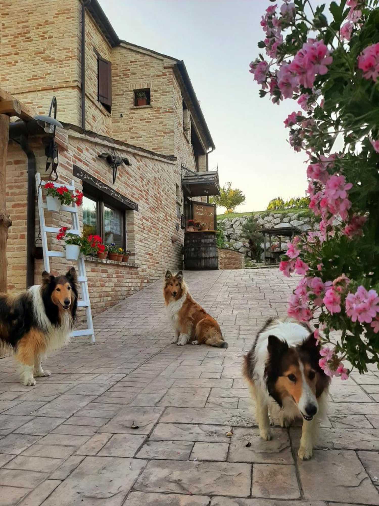 Gift card for Il Casale Dell'acquabona