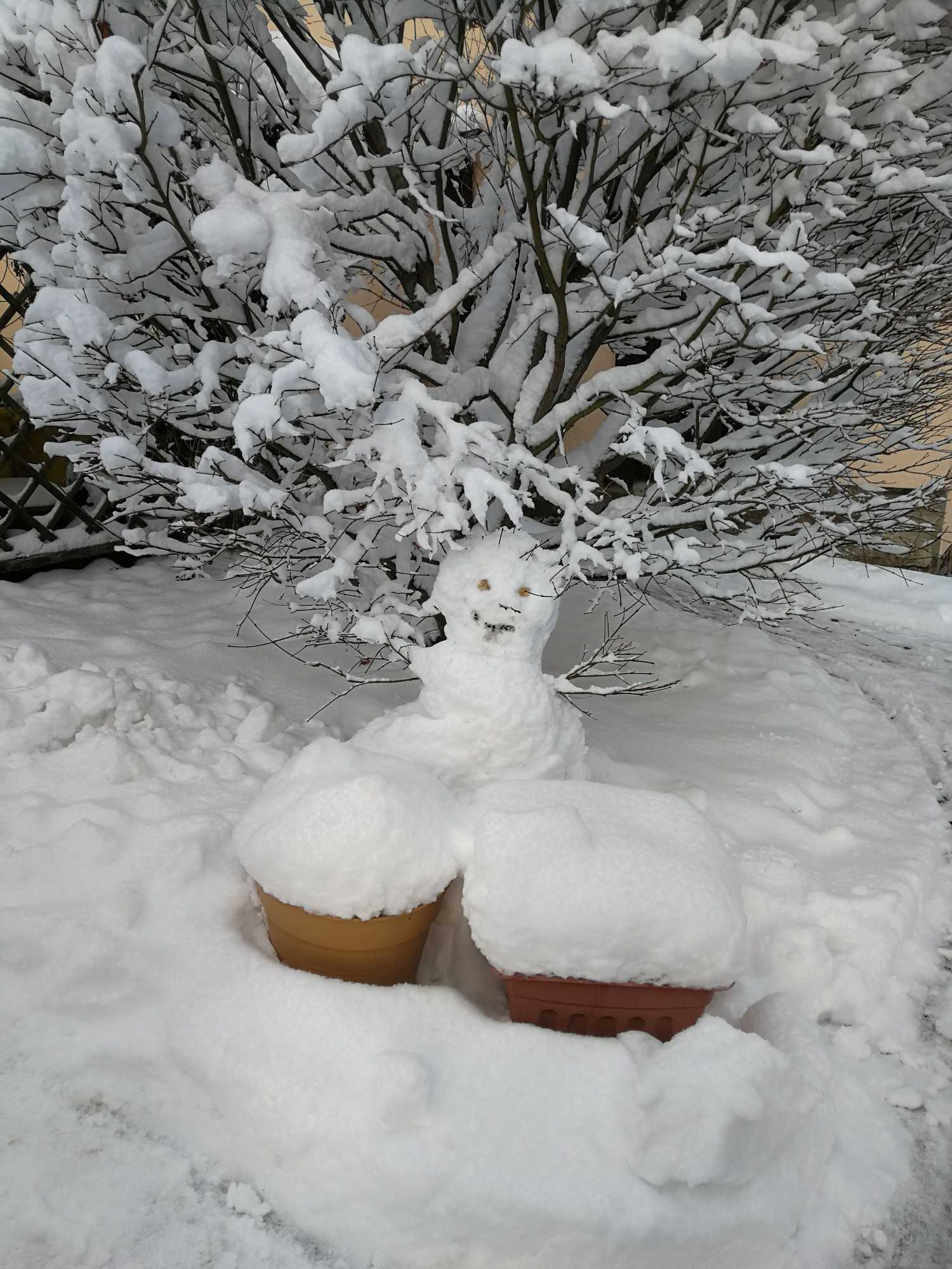 Gift card for Fewo Baumann