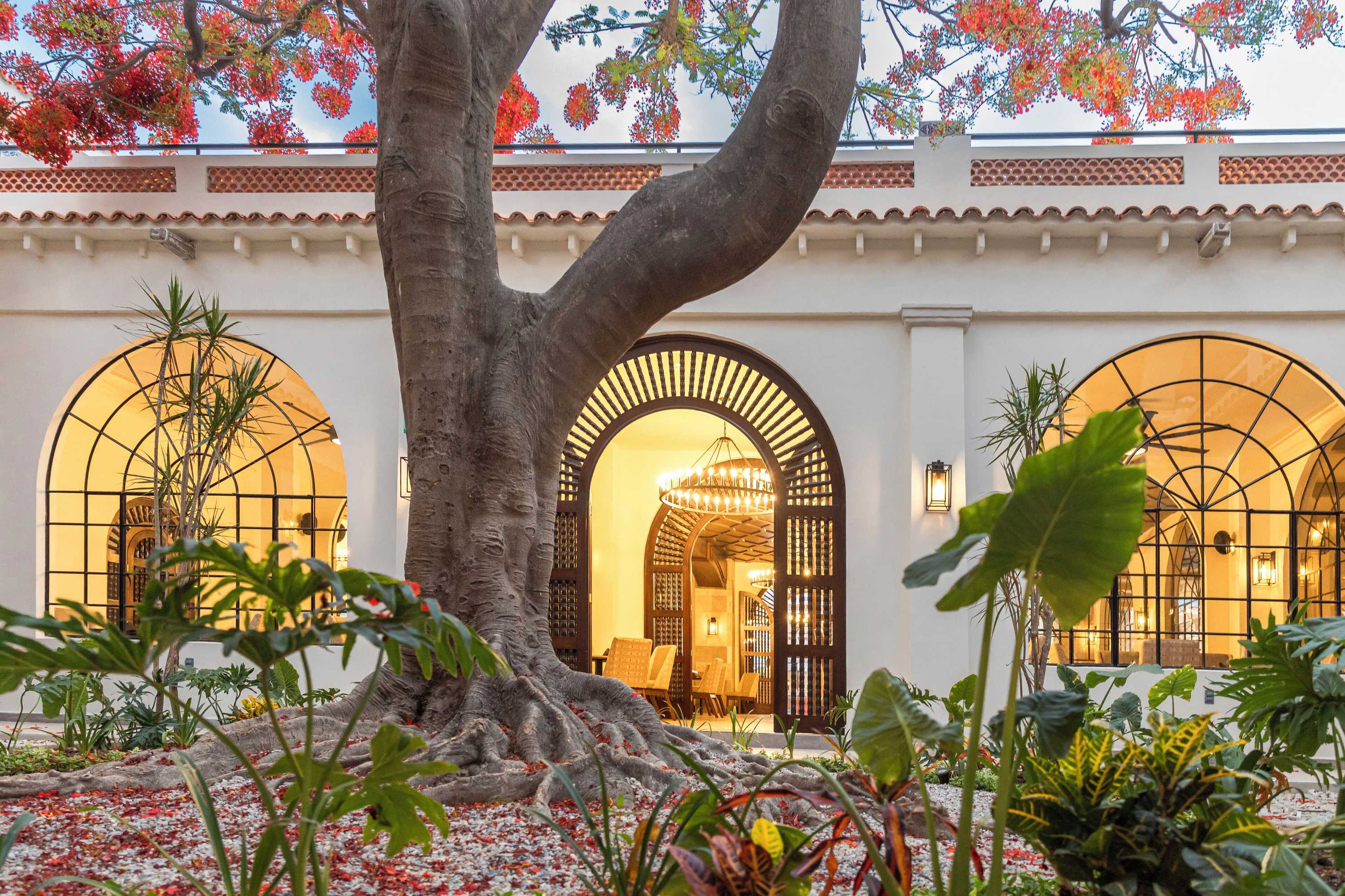 Gift card for Gran Hotel Mexico Gift card for Gran Hotel Mexico