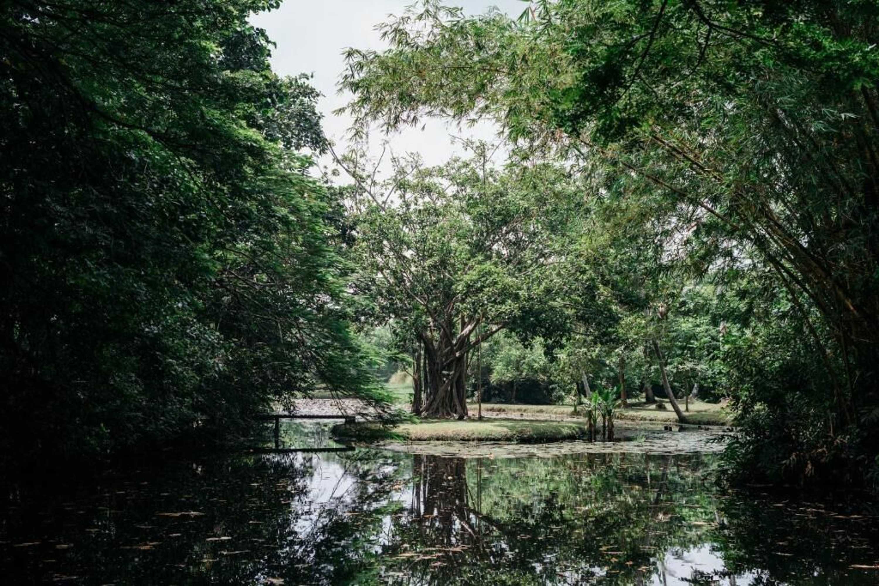 Gift card for Boutique 87