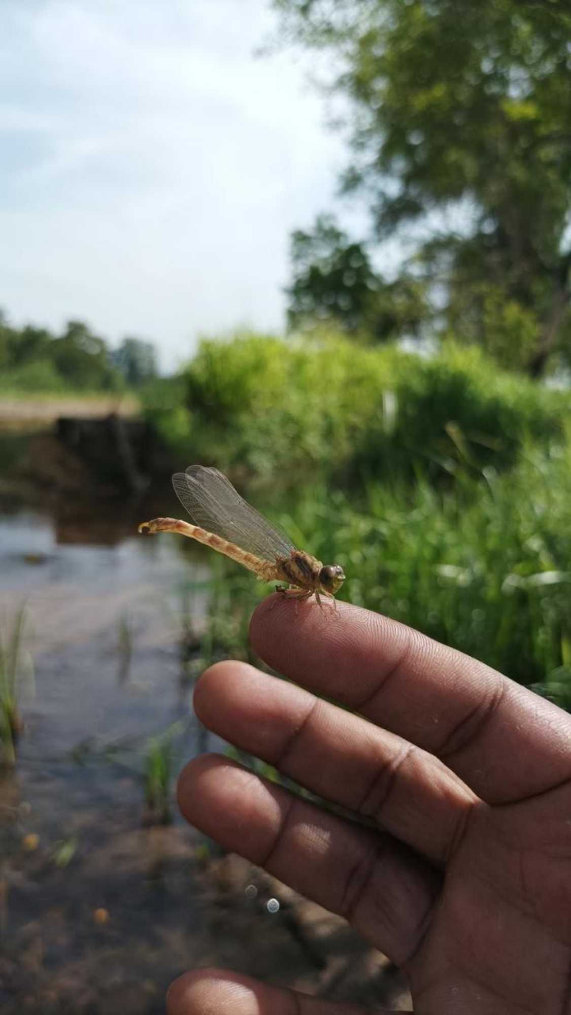 Gift card for Grand Okka Hotel